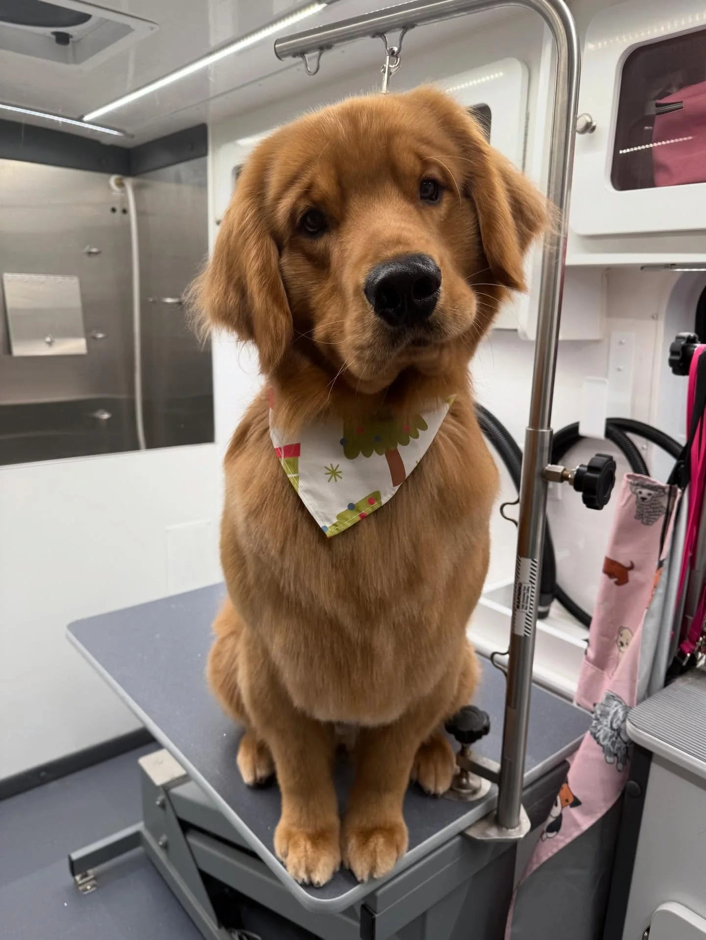 Such sweet babies today ☺️