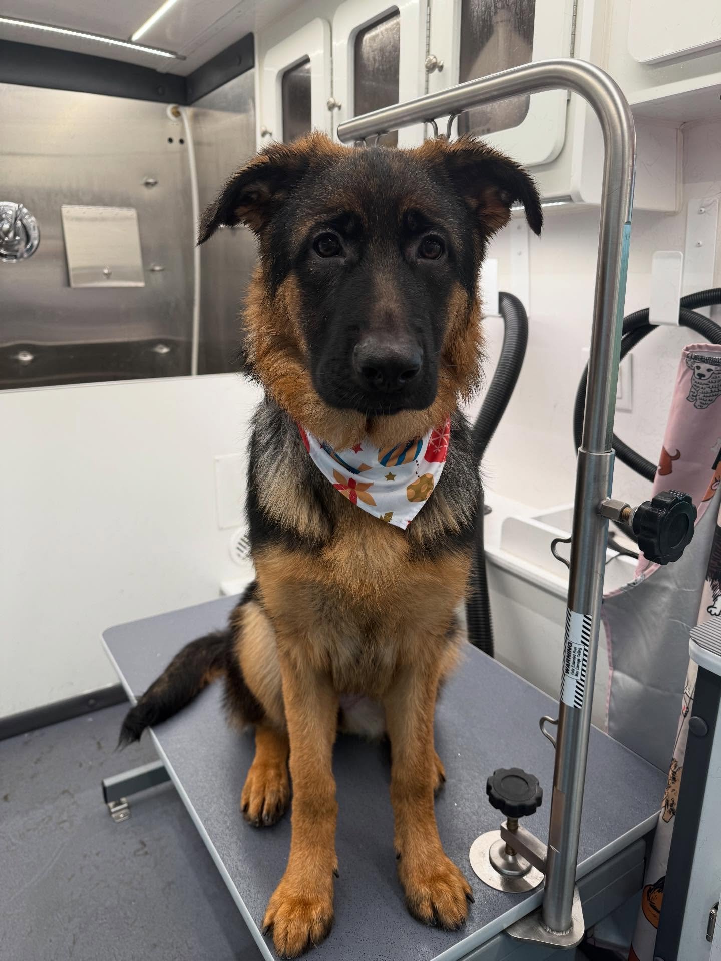 The sweetest babies today 😋