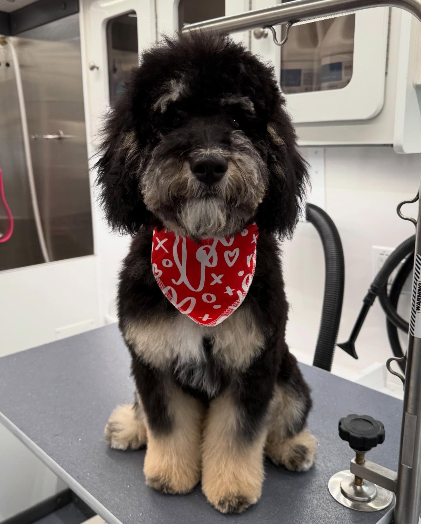 ❤️💕❤️💕❤️