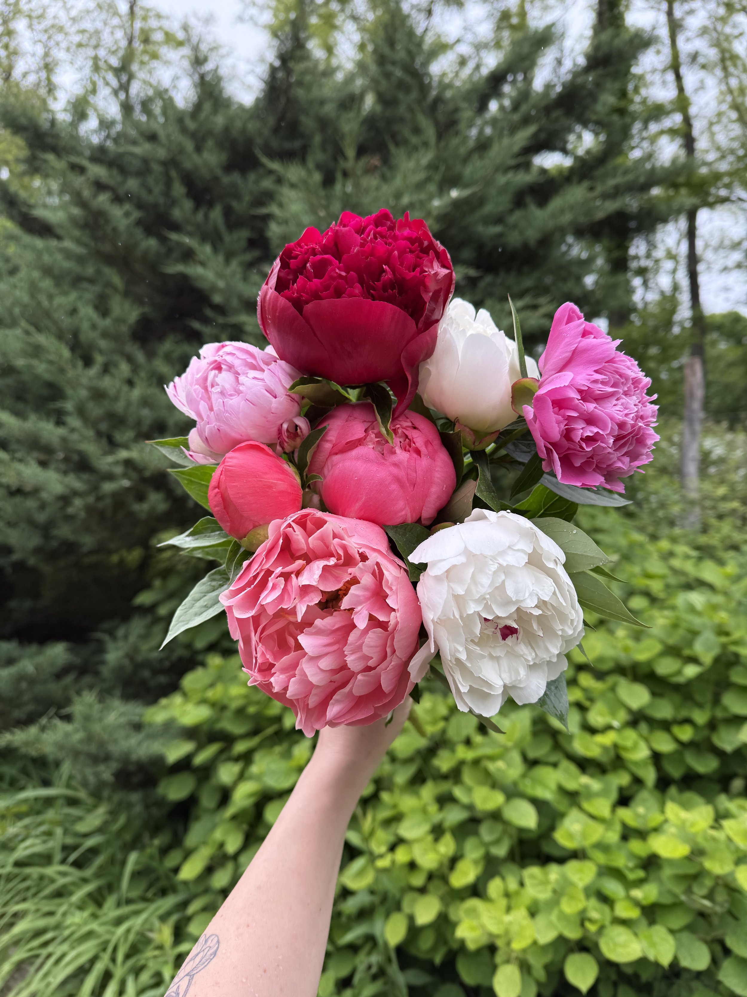 Peonies. Just peonies!