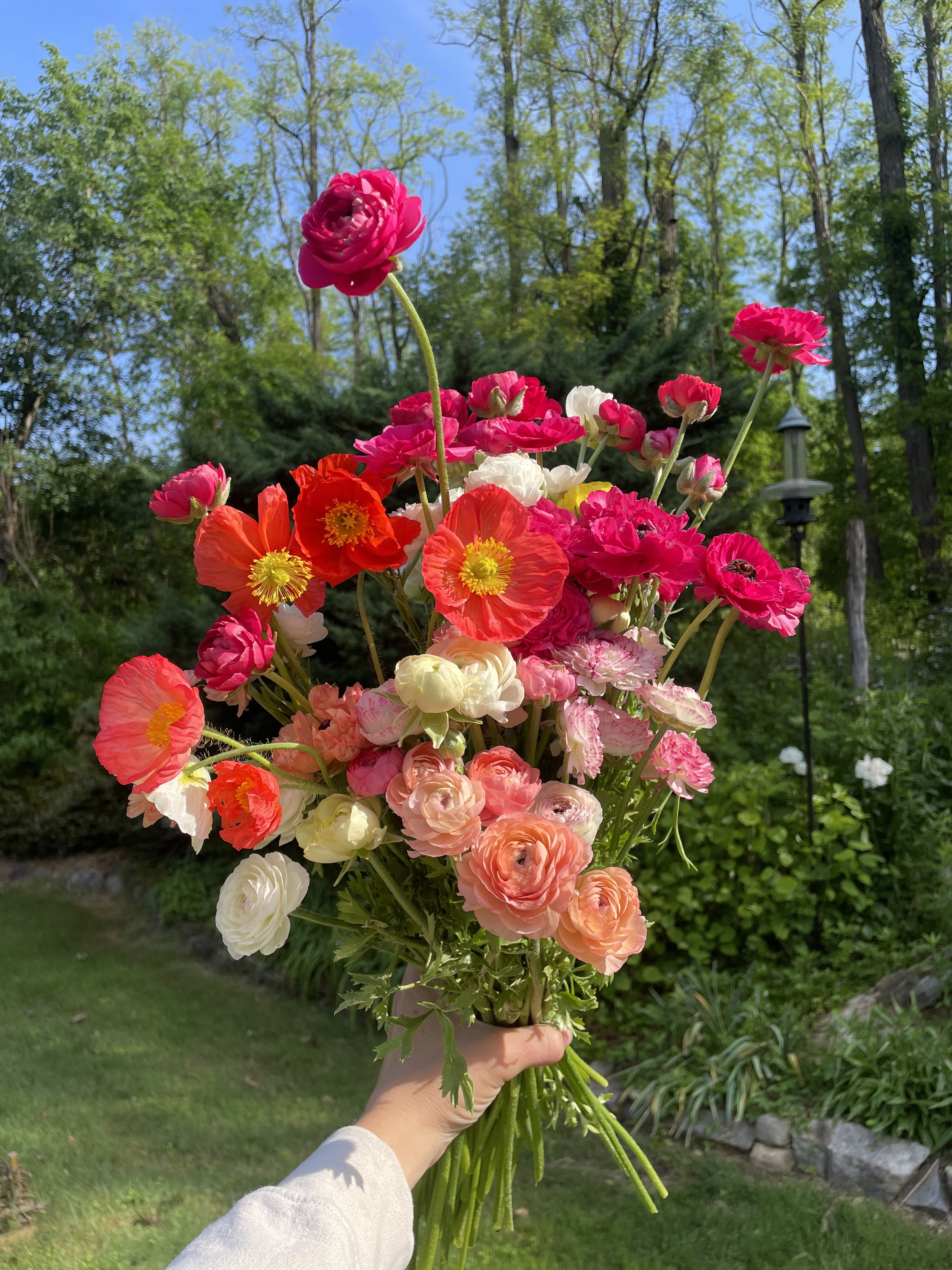 A Bucket of Spring