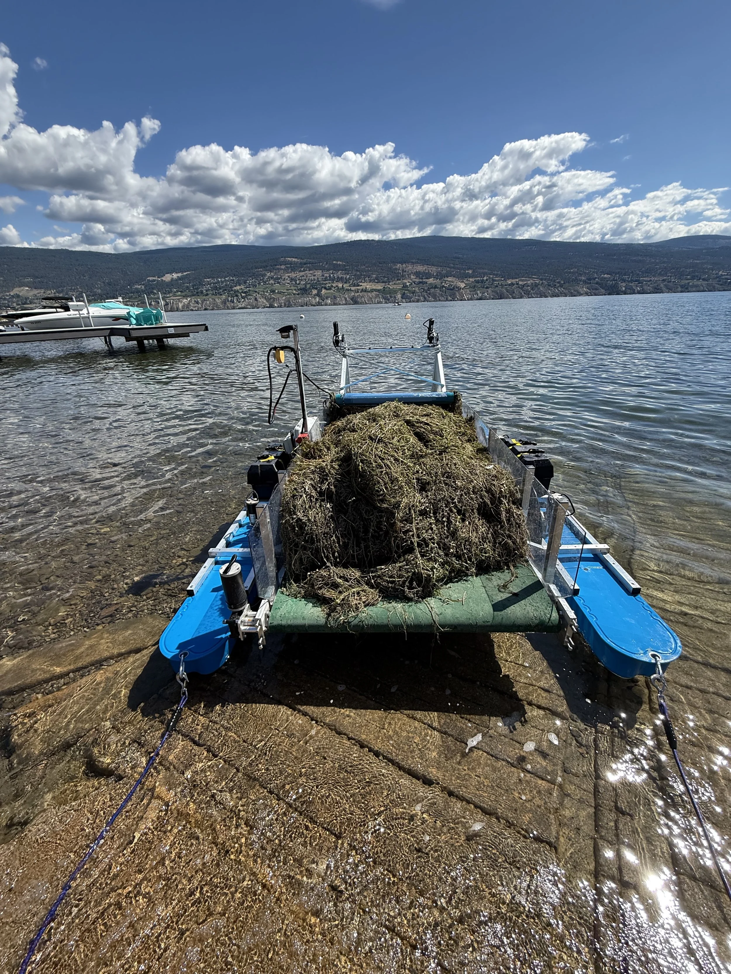 We remove all the collected debris to reduce the spread of Milfoil 