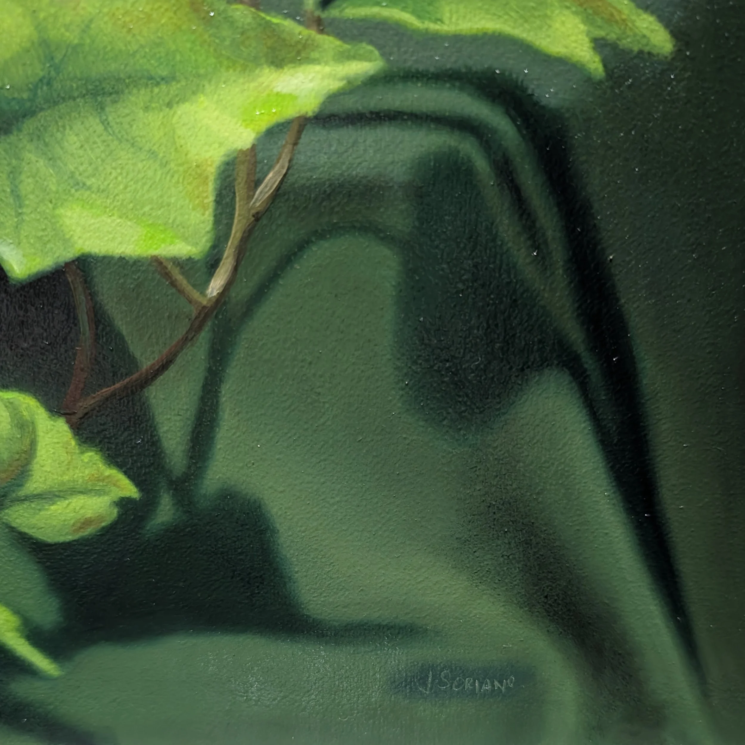 original_af27a859-c0fa-4ae5-b8f7-b4edaa8ca4f5_PXL_20260518_154300020.jpg