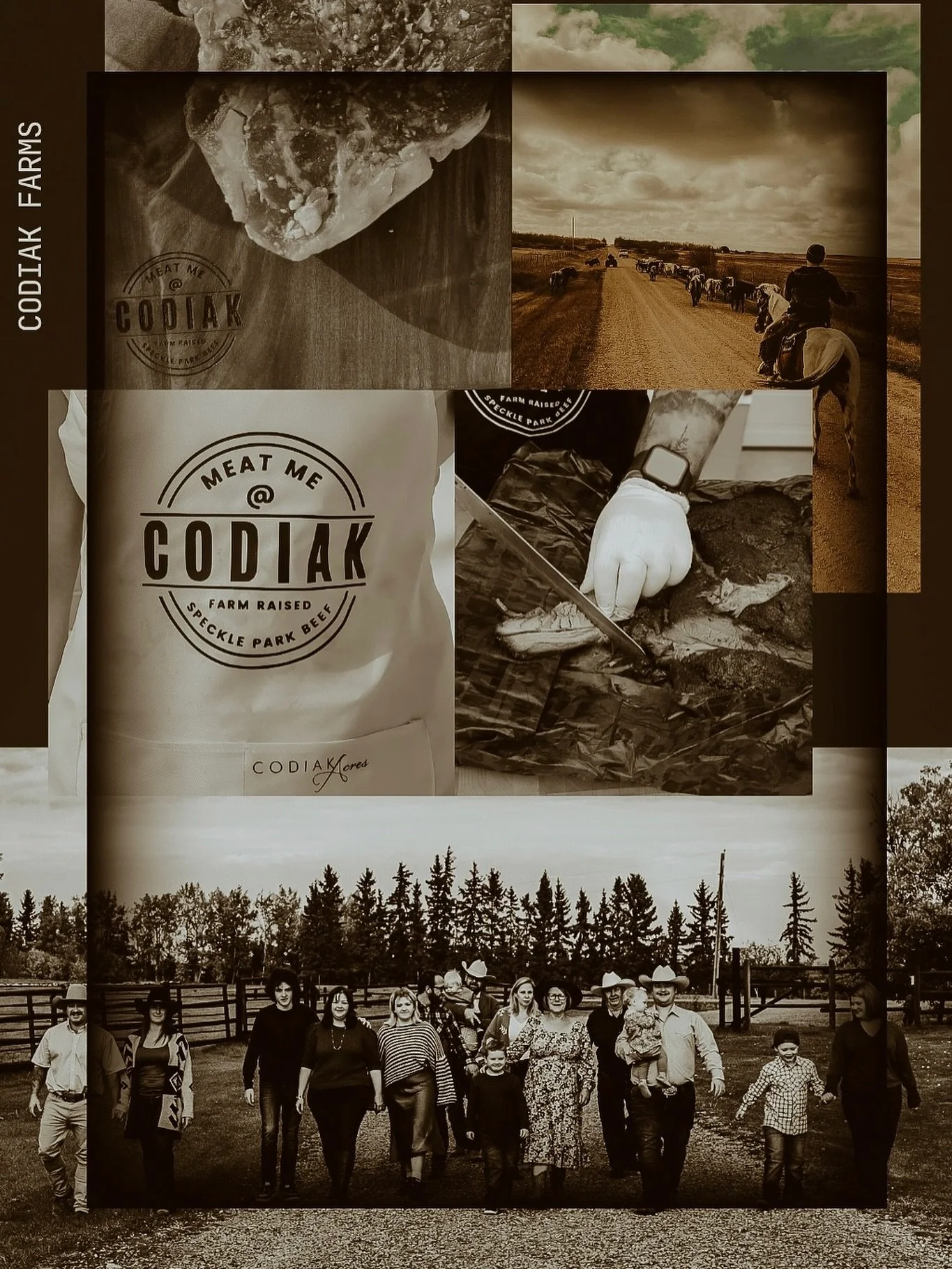 We are sooooo excited to share our main beef supplier at The U-Turn!! @meat.me.at.codiak is 12km down the road from us and we are thrilled to feature their spectacular beef on our menu! 

Meat Me @ Codiak is located on our family-owned ranch, Codiak 