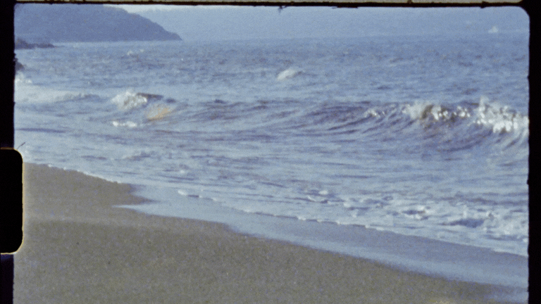 Untitled design (7).gif