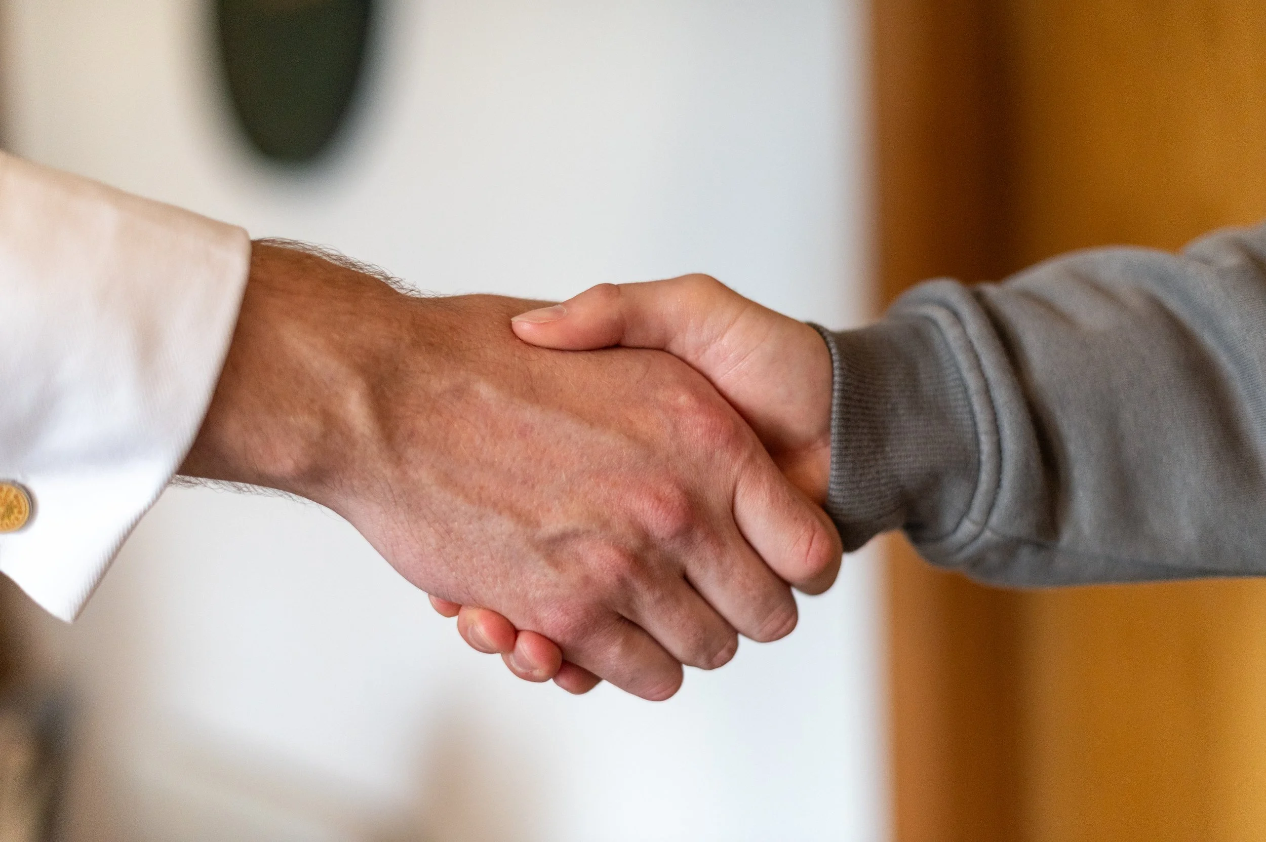 Two people shaking hands, close-up of hands and forearms.