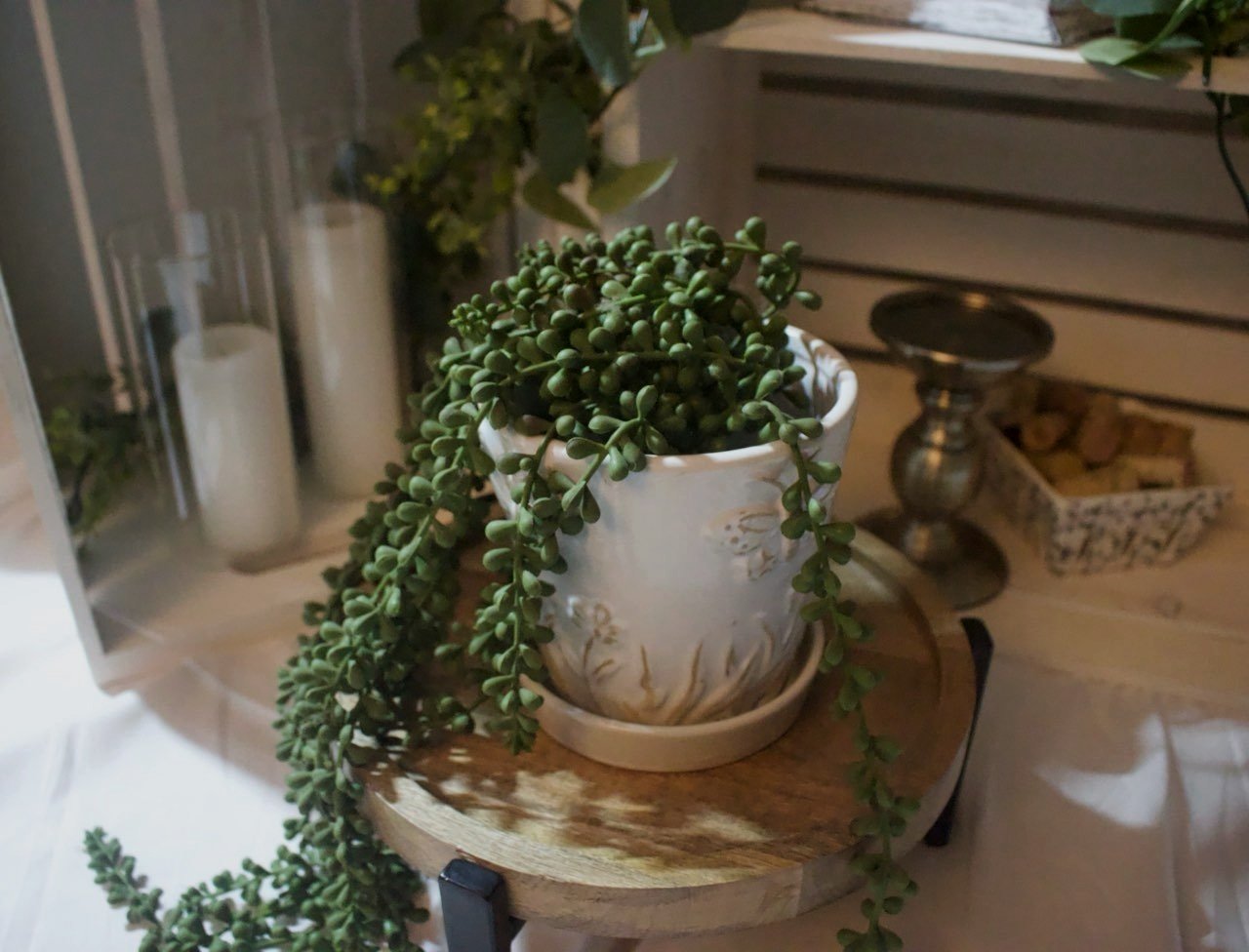 embossed+pot+4.jpg