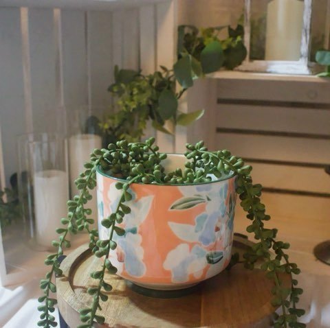 anthro+pot.jpg
