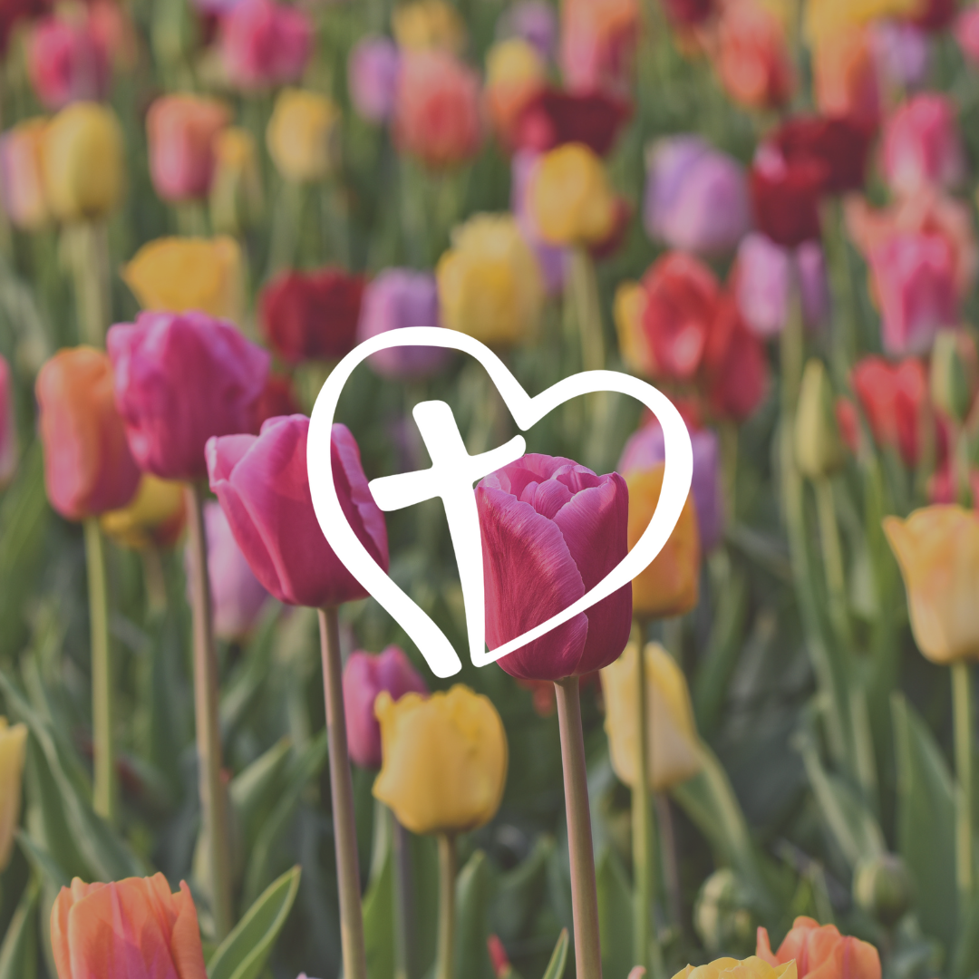 Untitled design - 2025-04-05T141327.734.png