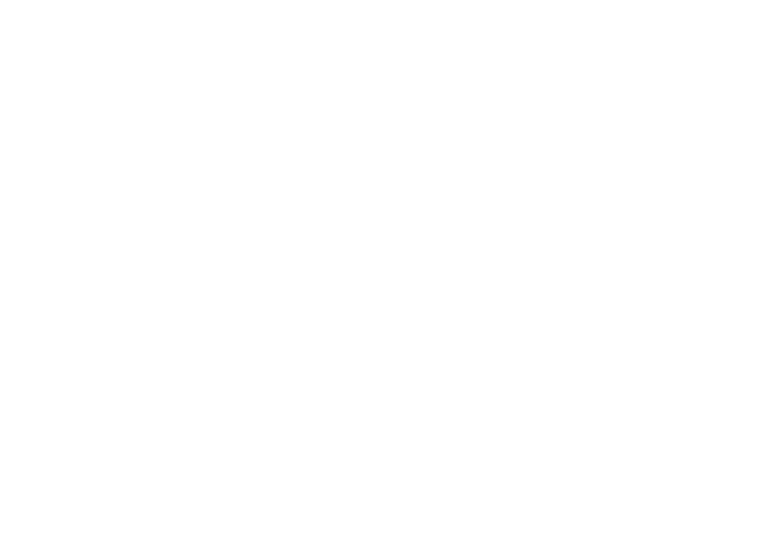 Black and white logo with stylized text and the word 'STINABIS' at the bottom.