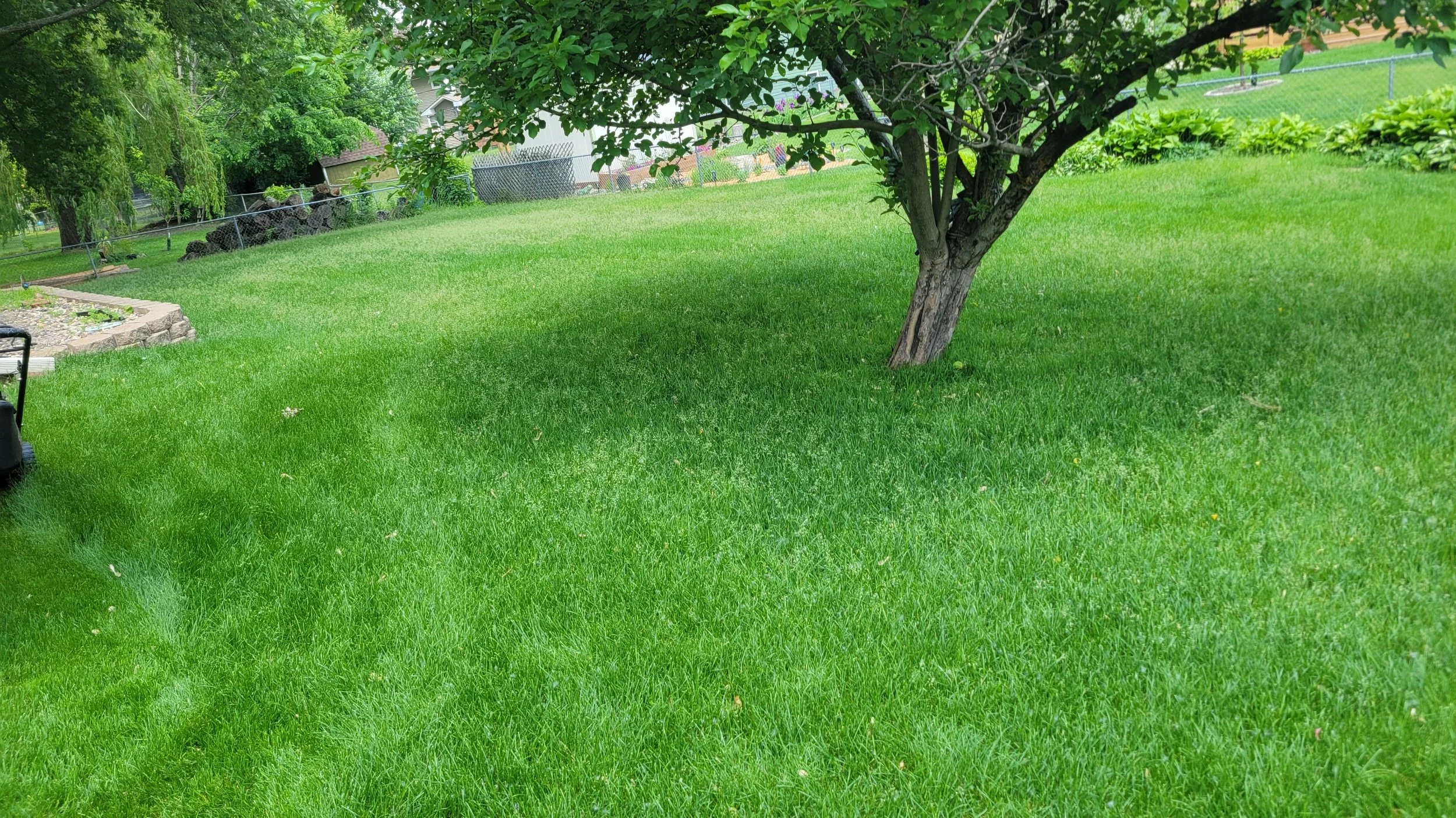 Lush green backyard with a tree, a lawnmower, a raised garden bed, and a fence in the background.