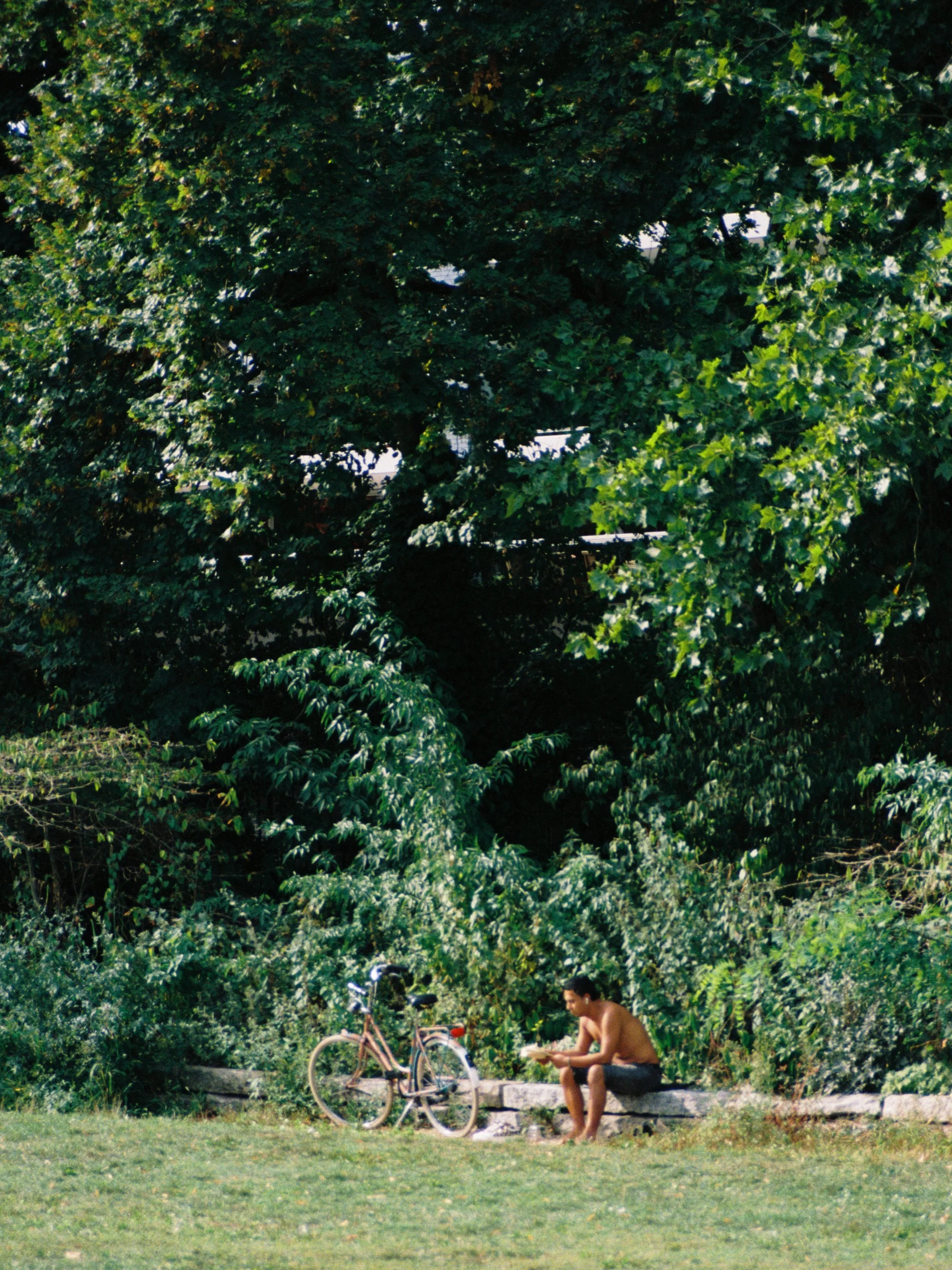 R1-03257-020A.png