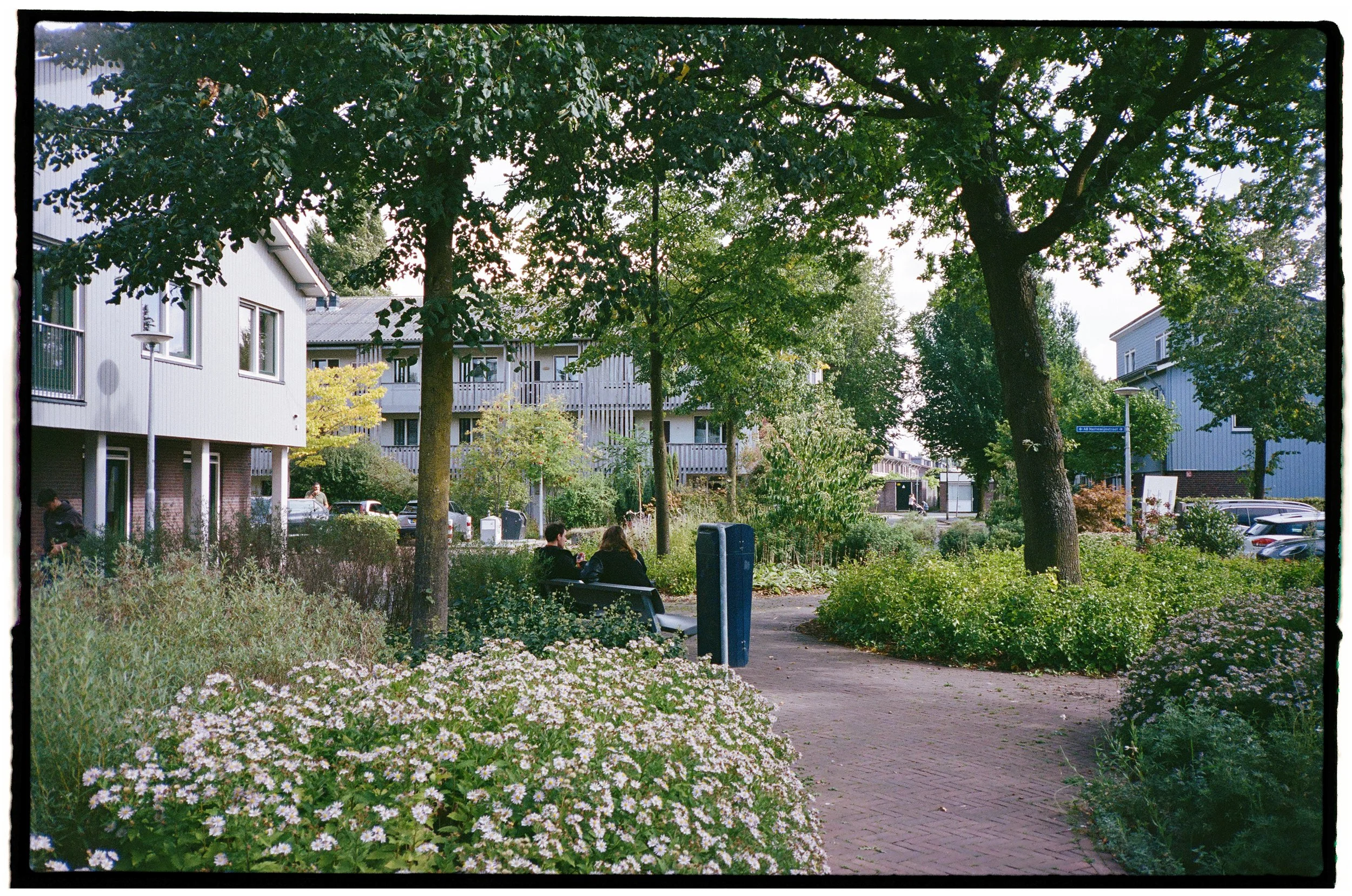 AnnekeRoll301.jpg