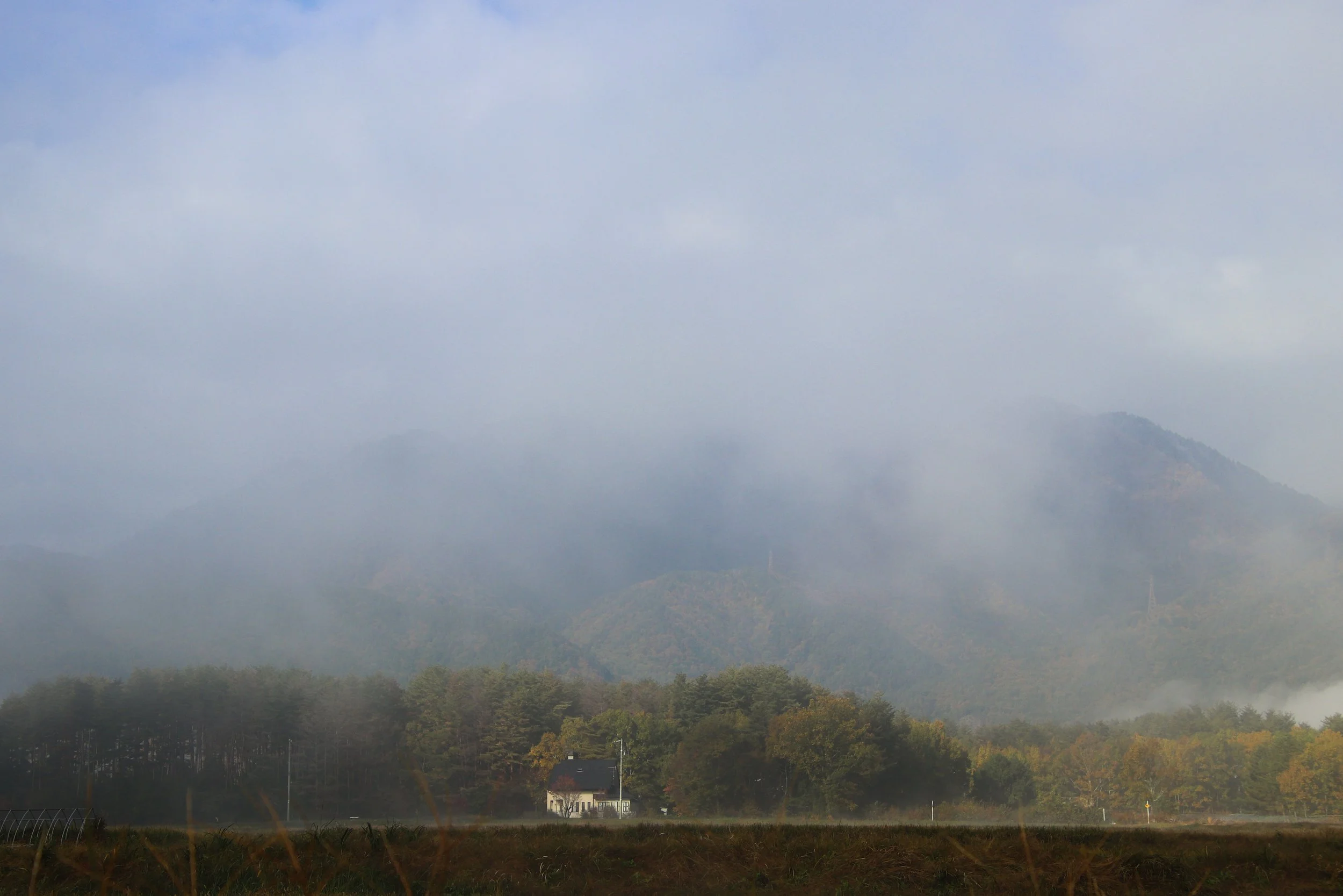 IMG_5150.jpg