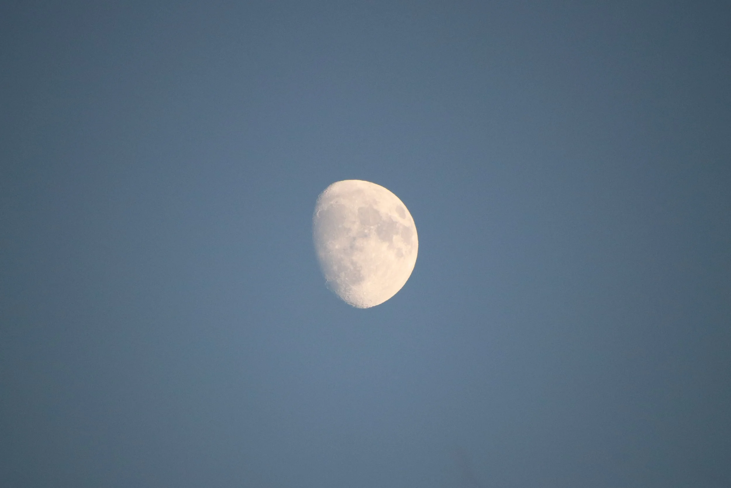 IMG_3836.JPG