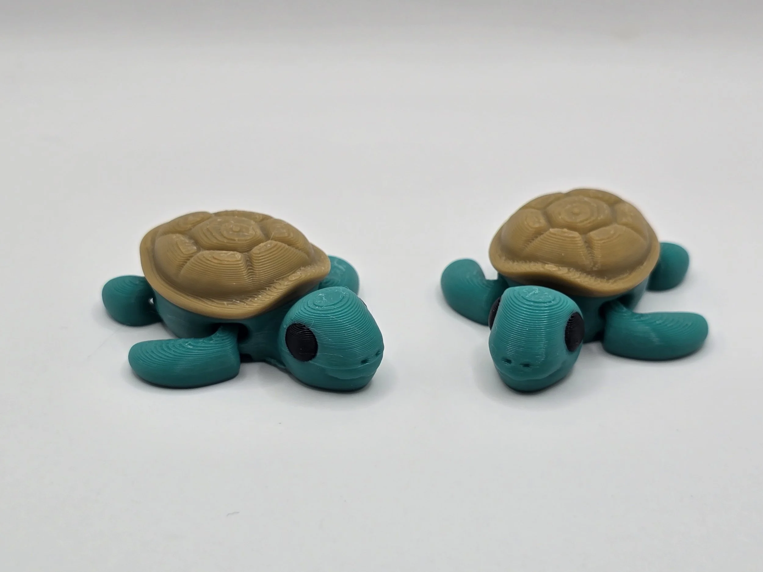 3D Printed Flexi Turtle