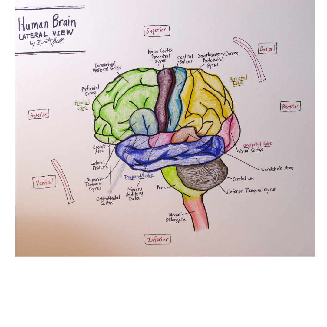 Truth Above Deception