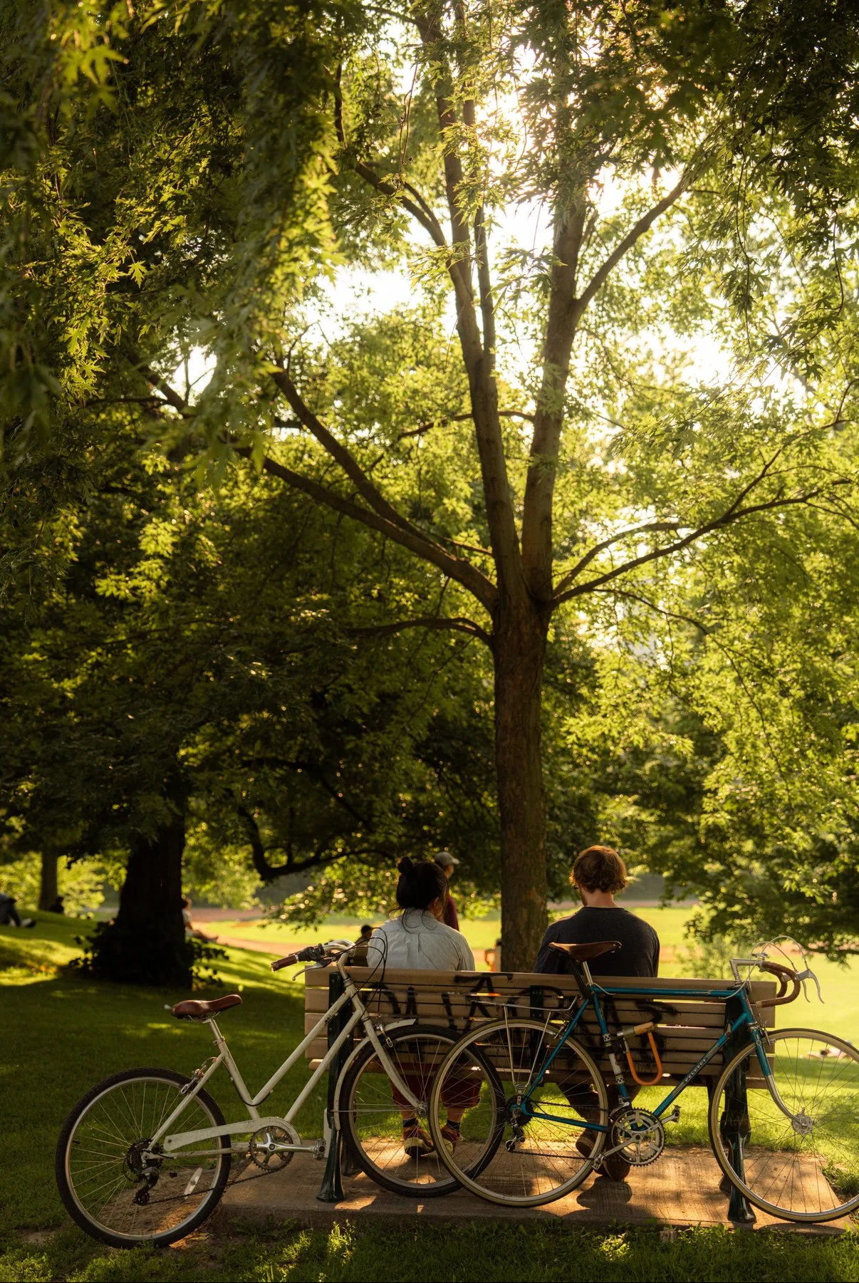 View recent photos.jpeg