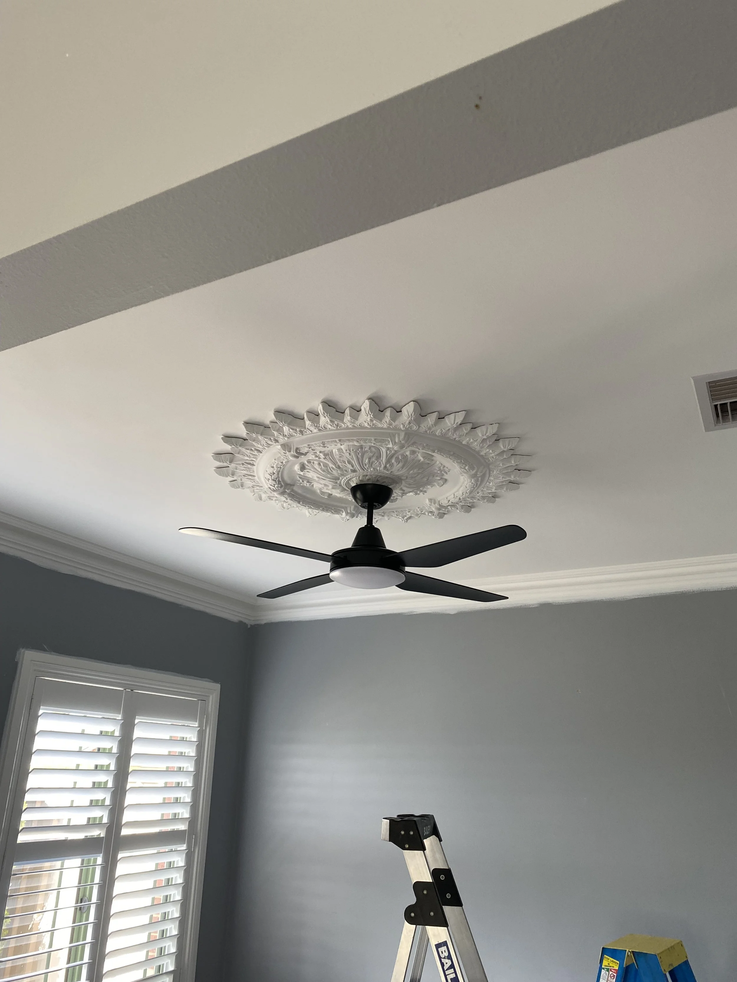 Black four blade indoor fan with 4 blades and a light in the centre installed in the middle of an ornate ceiling rose