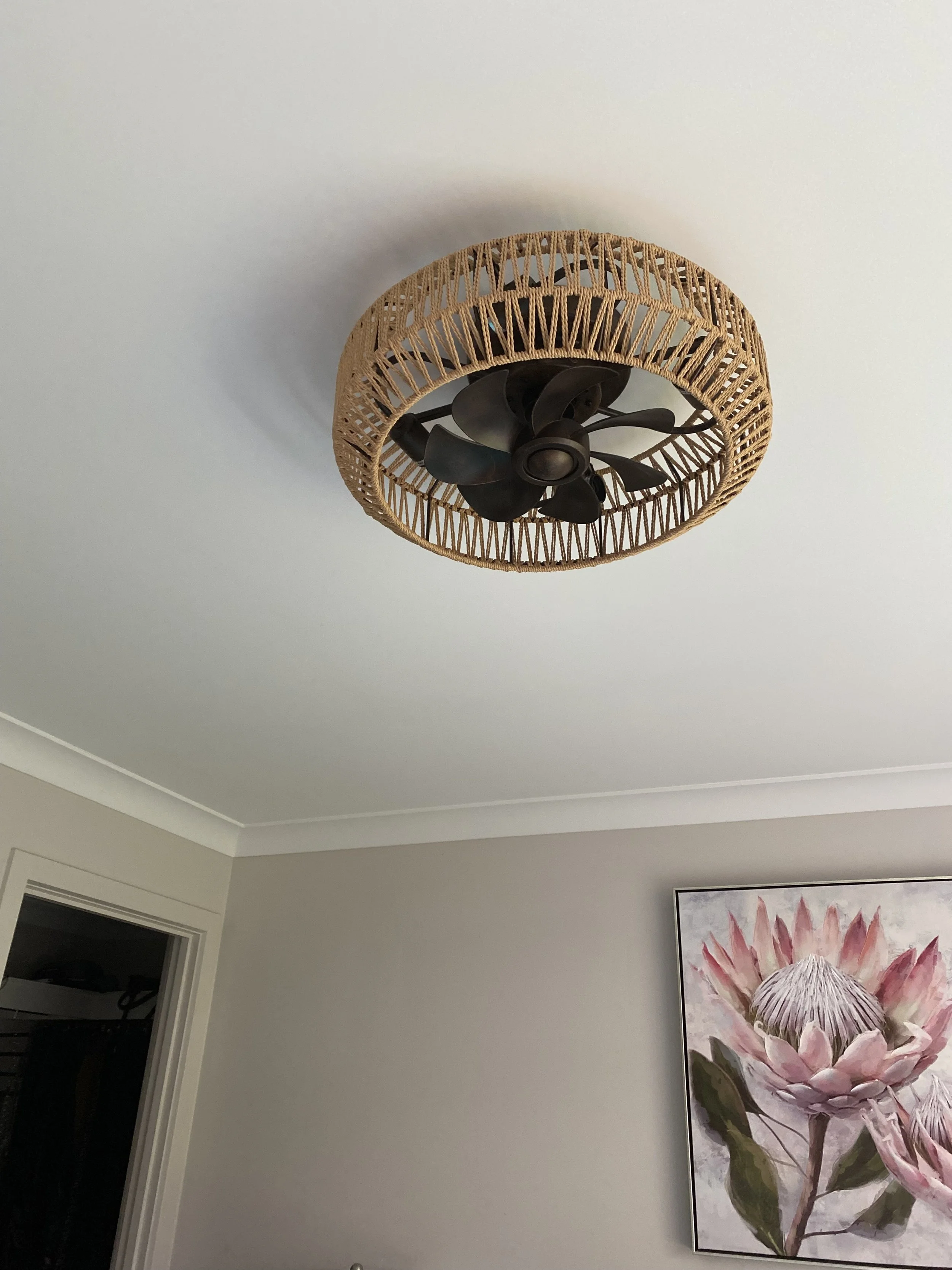 Small black ceiling fan inside a basket style fitting