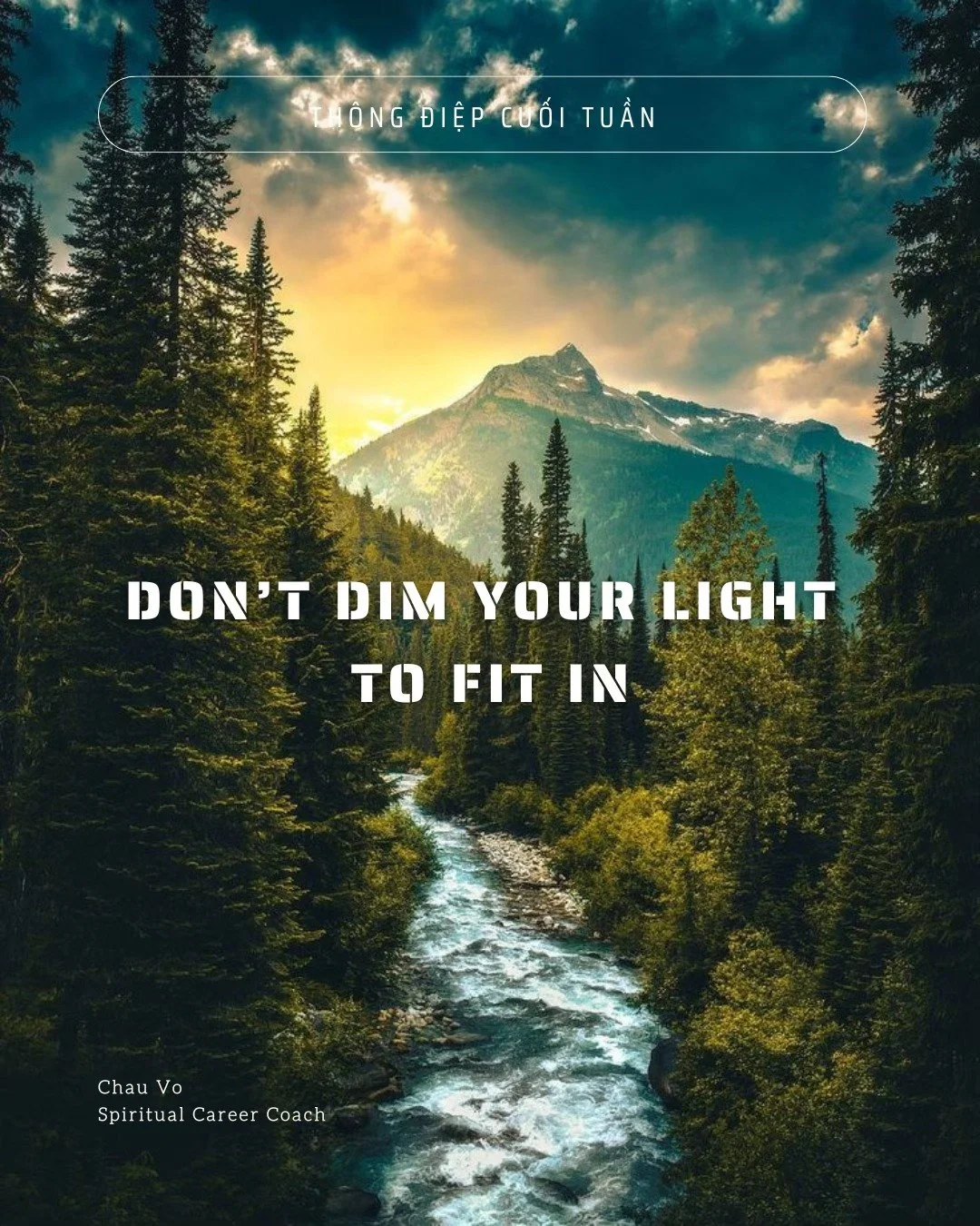 DONT' DIM YOUR LIGHT TO FIT IN 