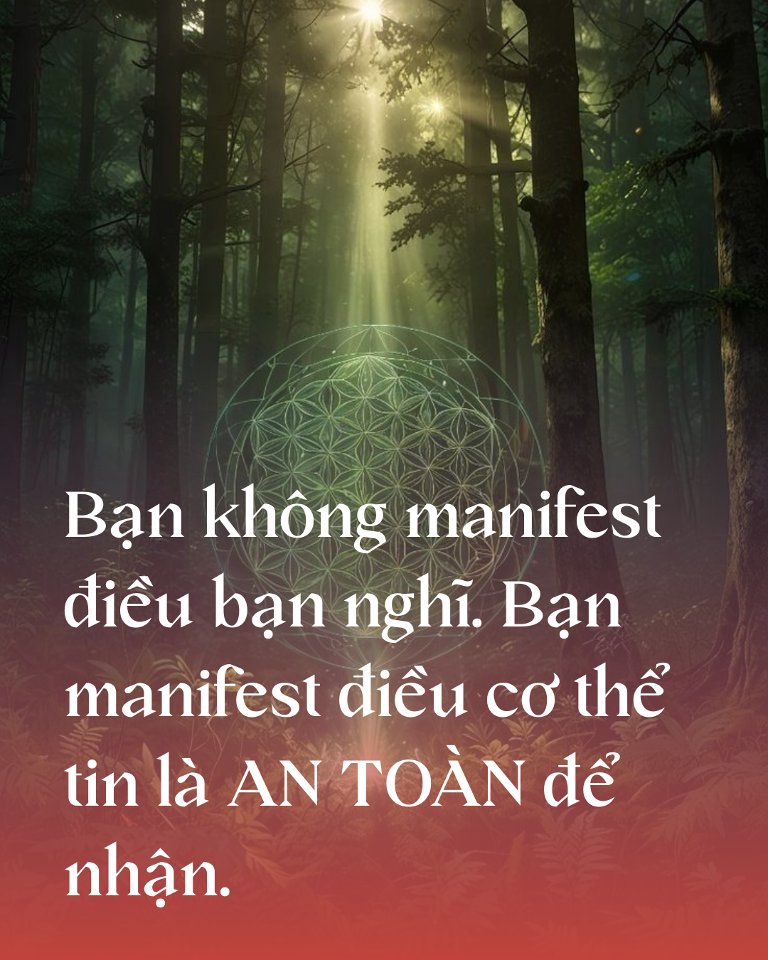 Bạn không manifest điều bạn nghĩ. Bạn manifest điều cơ thể tin là AN TOÀN để nhận.