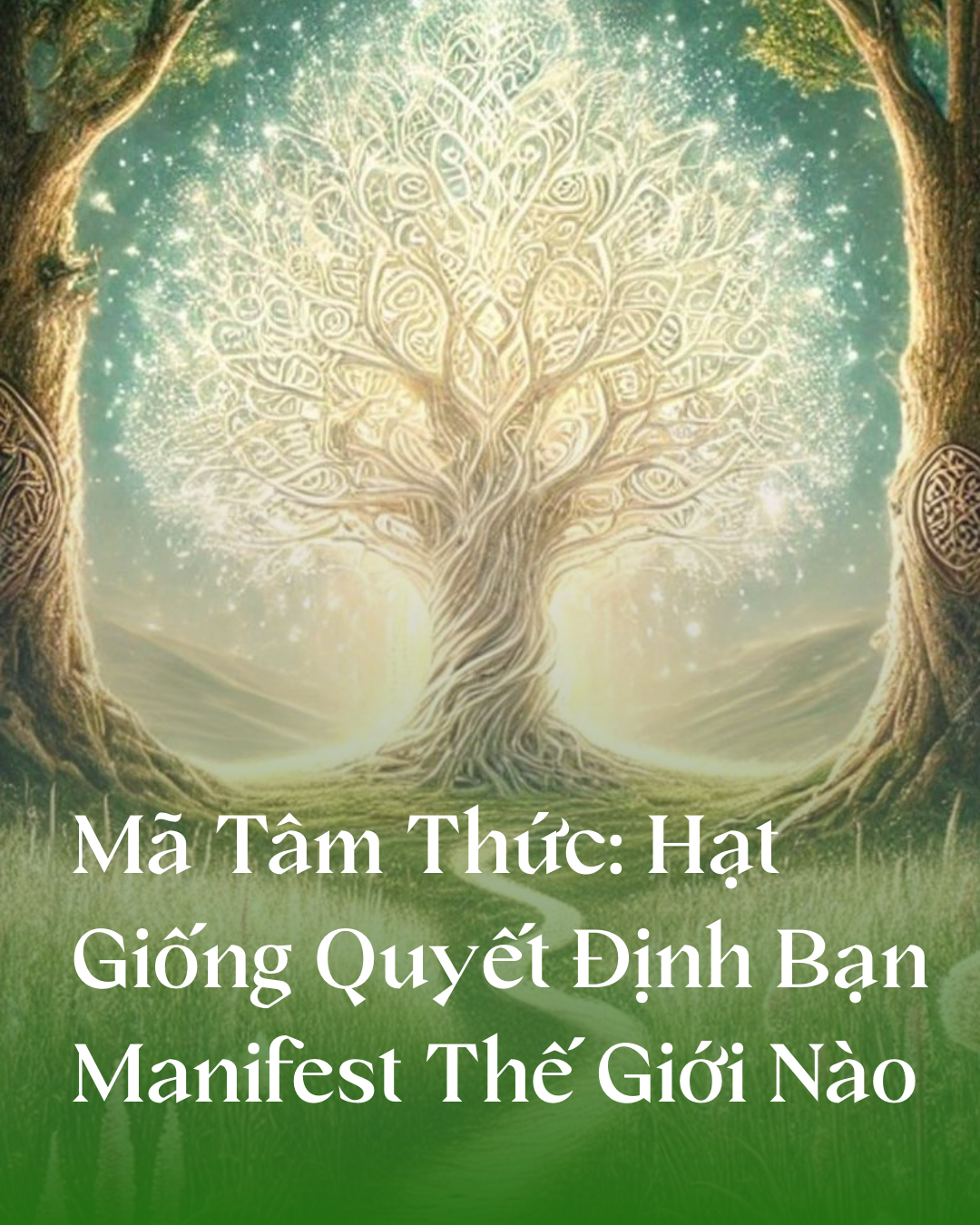 Mã Tâm Thức: Hạt Giống Quyết Định Bạn Manifest Thế Giới Nào