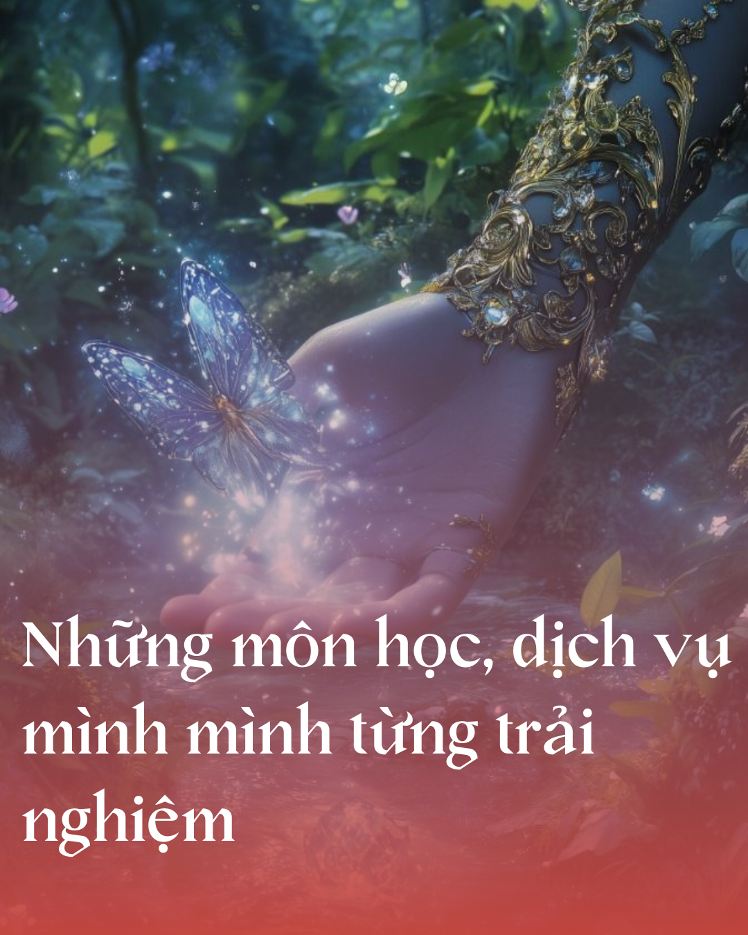 Những môn học, dịch vụ mình mình từng trải nghiệm