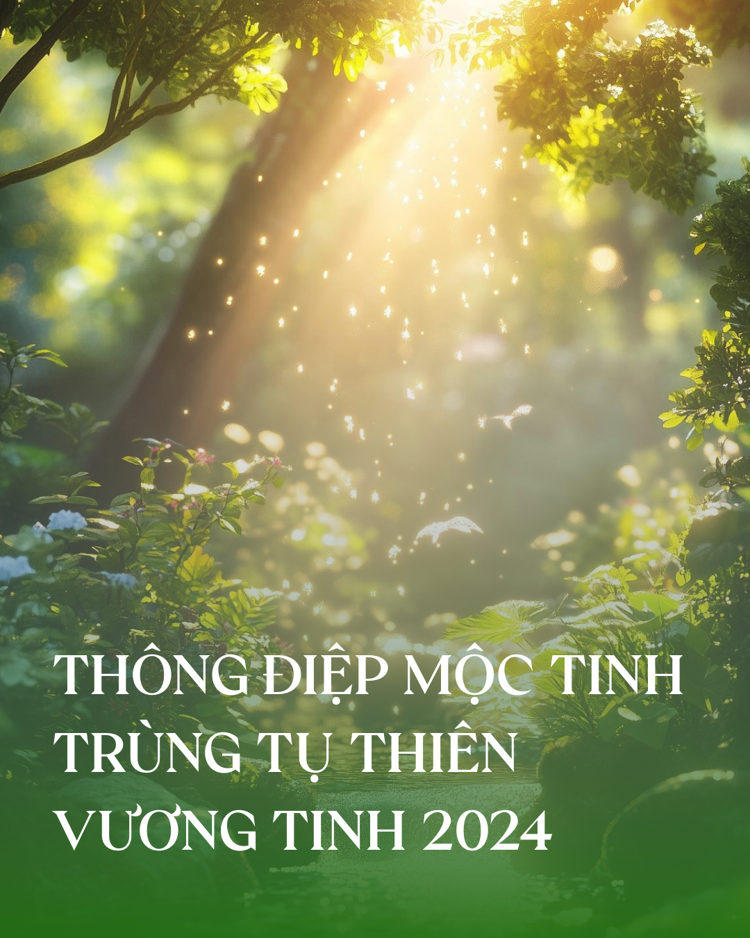 THÔNG ĐIỆP MỘC TINH TRÙNG TỤ THIÊN VƯƠNG TINH 2024