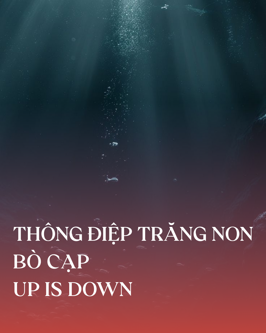 THÔNG ĐIỆP TRĂNG NON BÒ CẠP