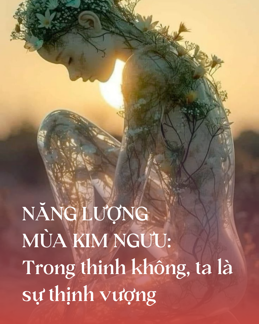 NĂNG LƯỢNG MÙA KIM NGƯU