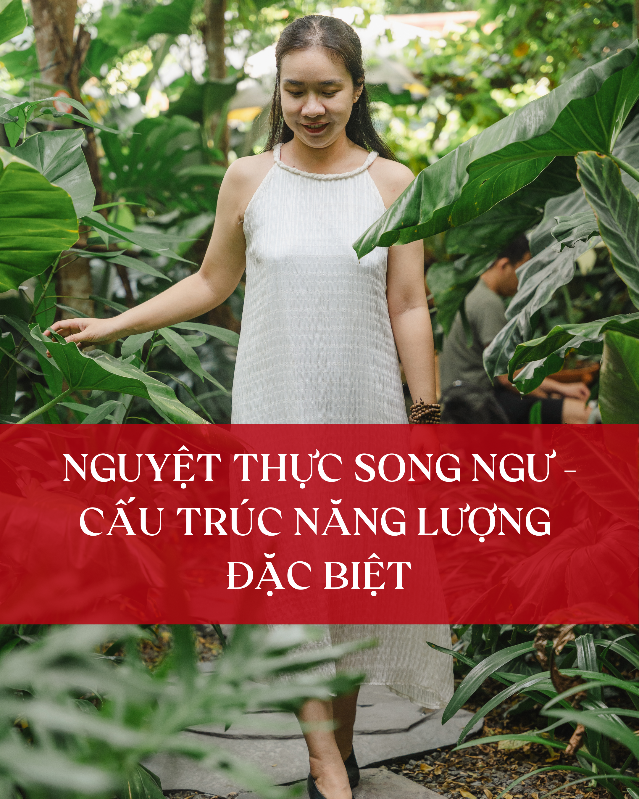 Nguyệt thực Song Ngư - Cấu trúc Năng lượng đặc biệt