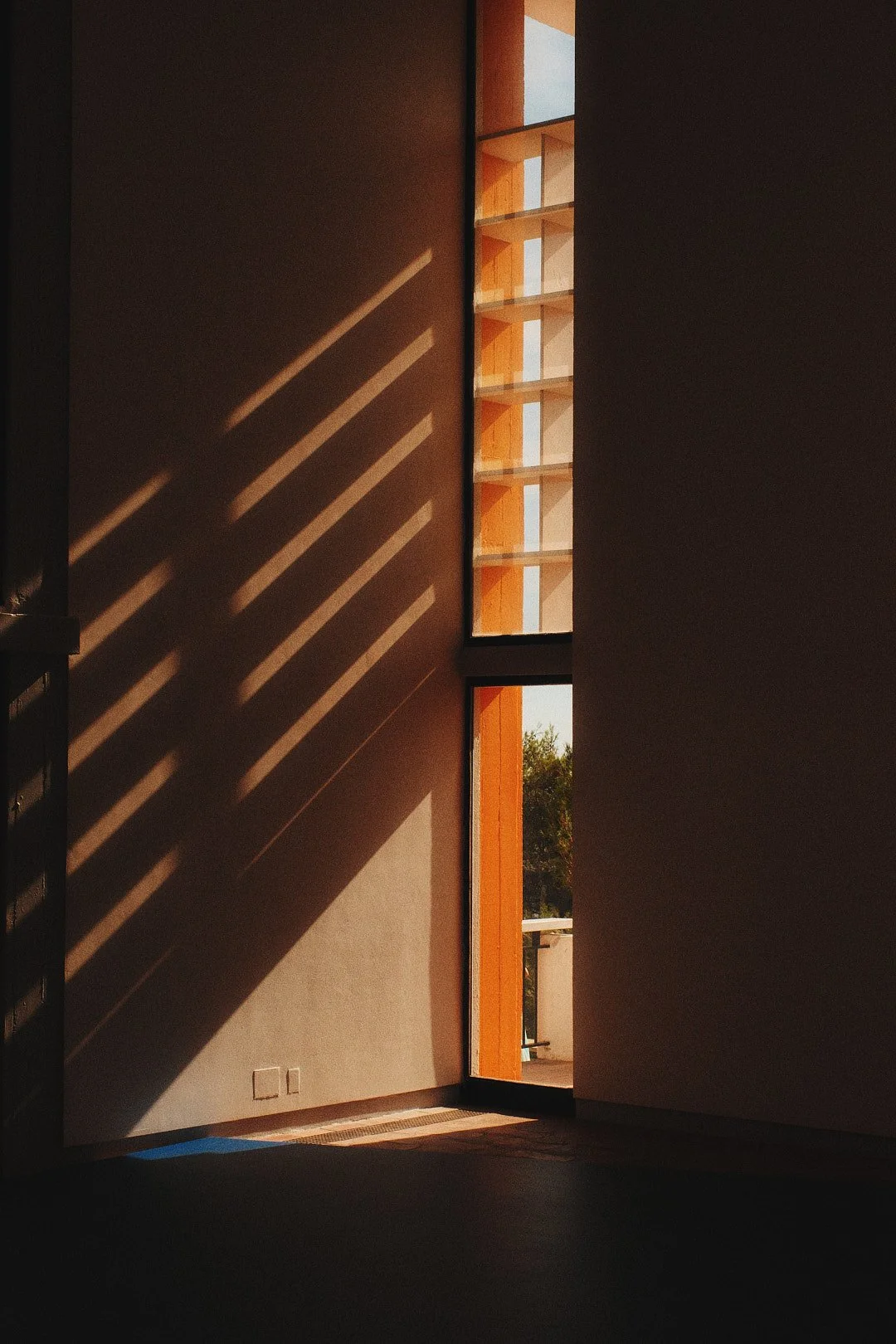 D437D29E-6DF2-44C2-AB36-159C981C6E5C.jpeg