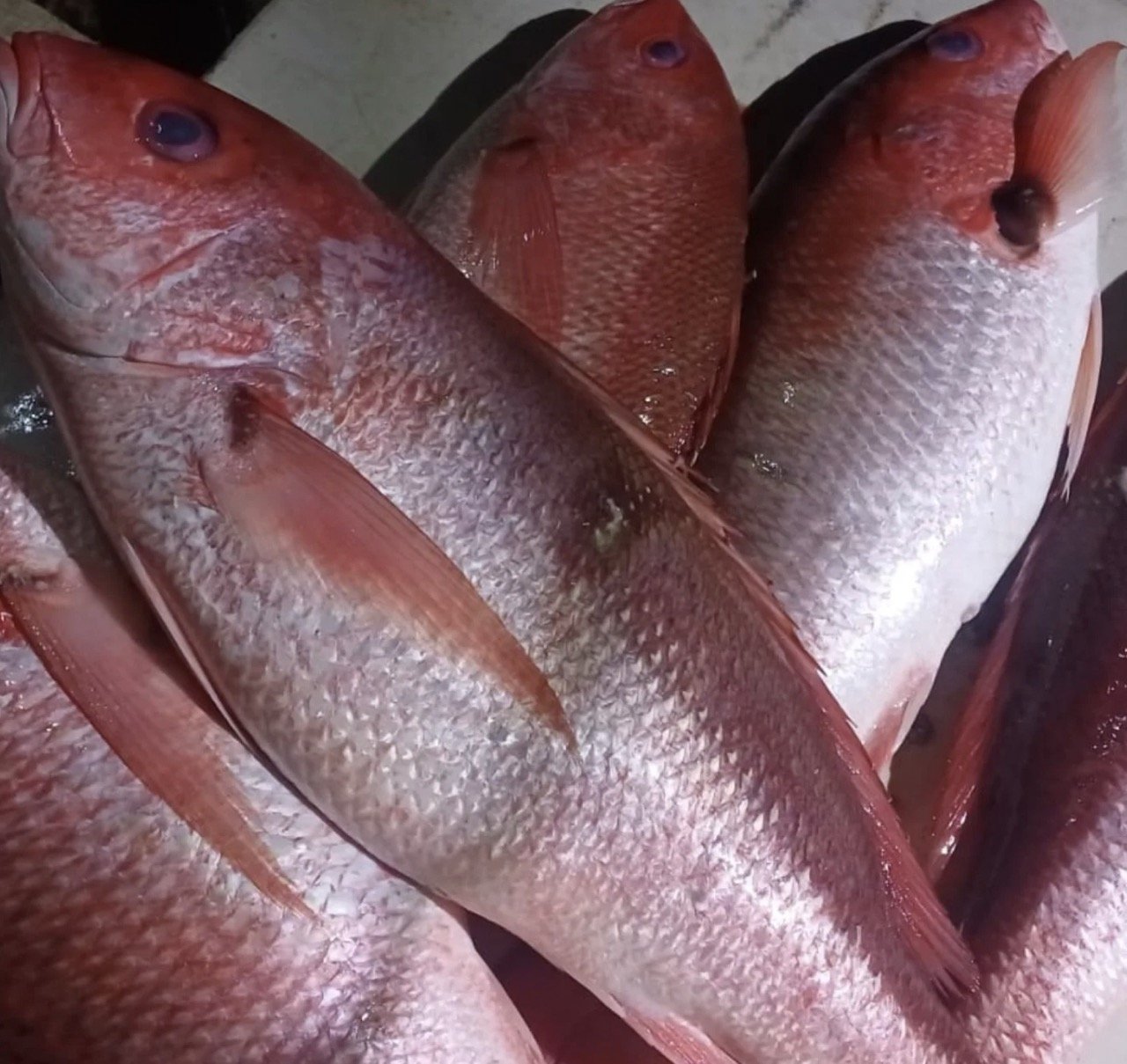 things-to-do-zacatitos-beach-baja