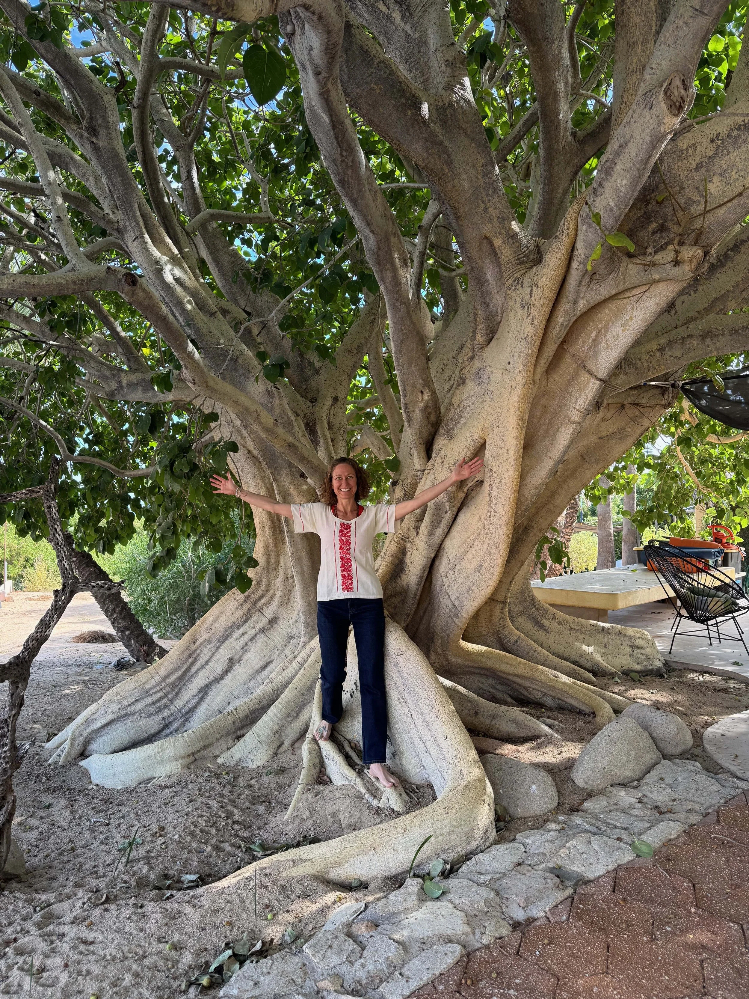 brooke-big-tree-retreat.jpeg