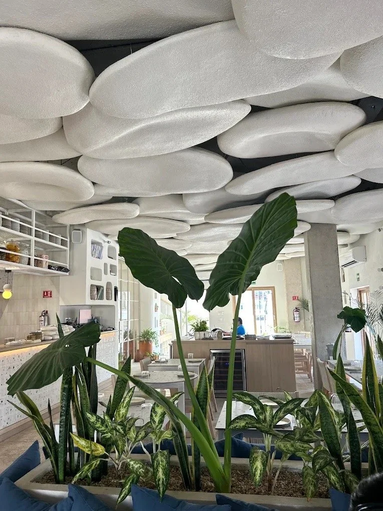 Indoor restaurant with large green leafy plants in a planter, ceiling covered with white decorative shapes, and a modern kitchen area in the background.