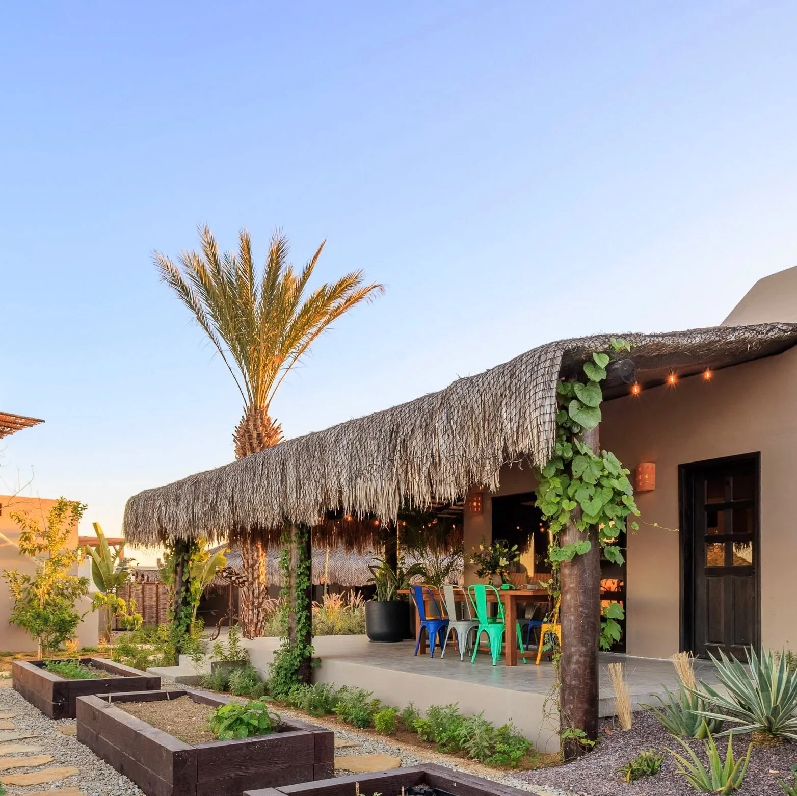 Exterior of a rustic restaurant with a thatched roof, colorful chairs around a wooden table, surrounded by desert plants and a tall palm tree under a clear blue sky.