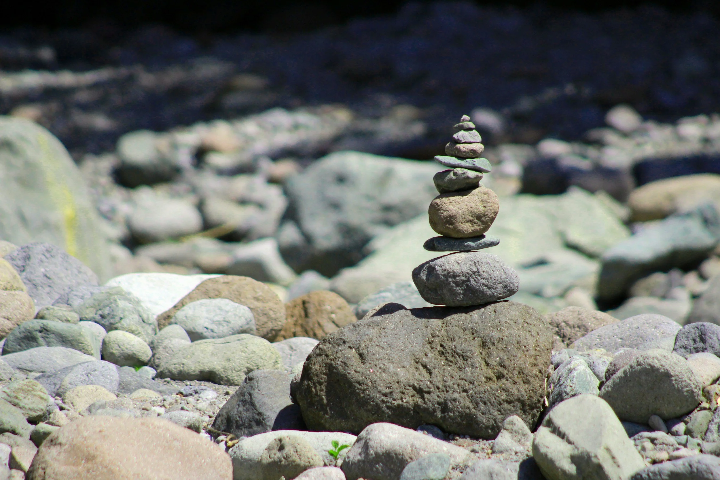 TRUE HEALING BEGINS WITH THE BASICS