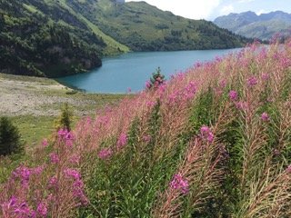IMG_0814.jpeg
