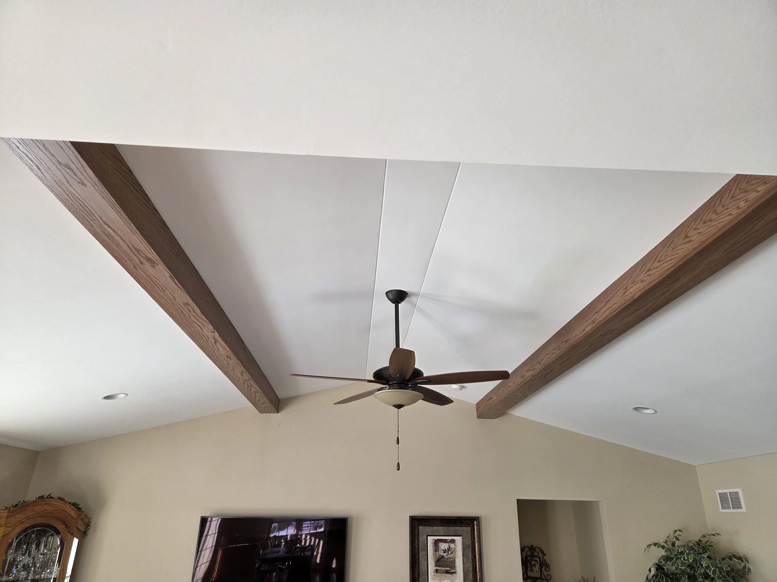 Living room ceiling with a central ceiling fan, exposed wooden beams, two small recessed lights, a wall-mounted TV, framed picture, and a potted plant.