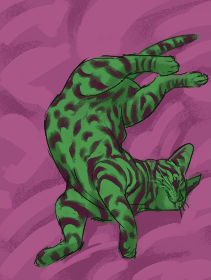 kittysketch.jpg