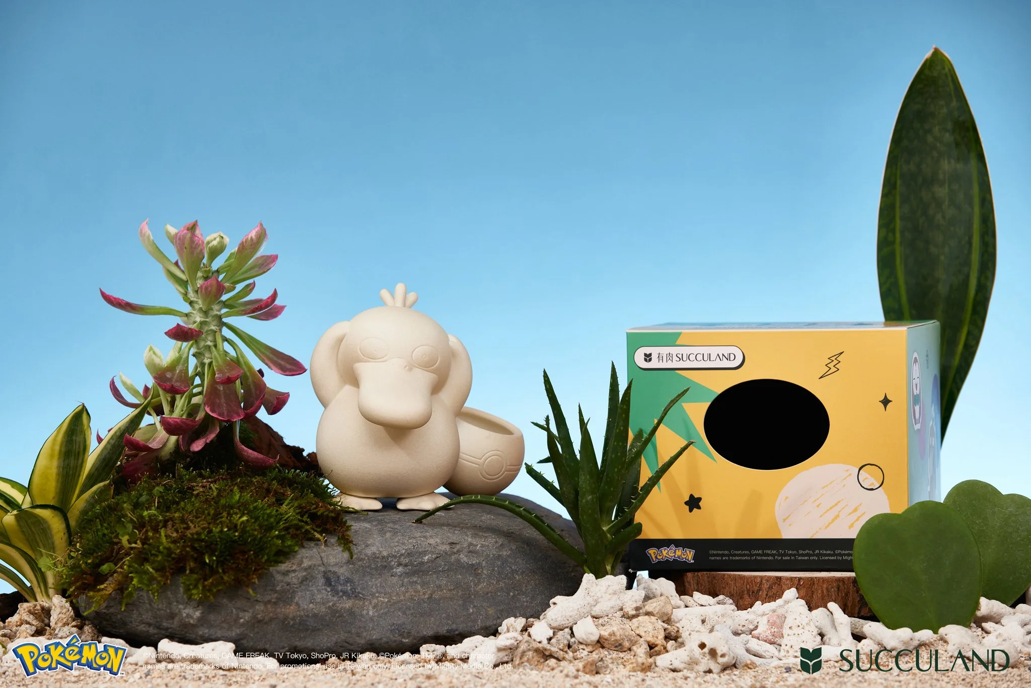 202504090358T 拷貝 3.jpeg