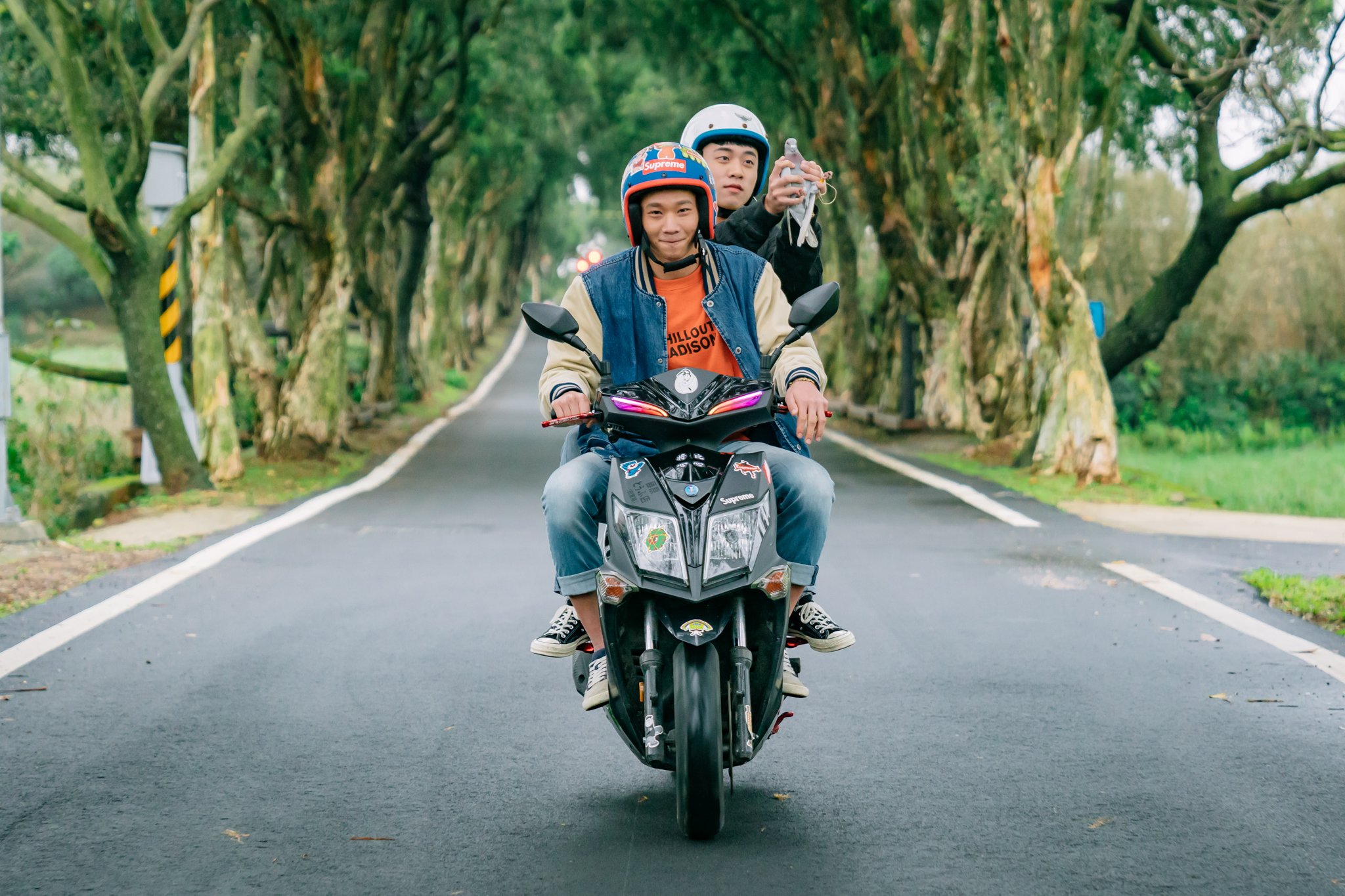 Two people on a scooter driving on a tree-lined road.