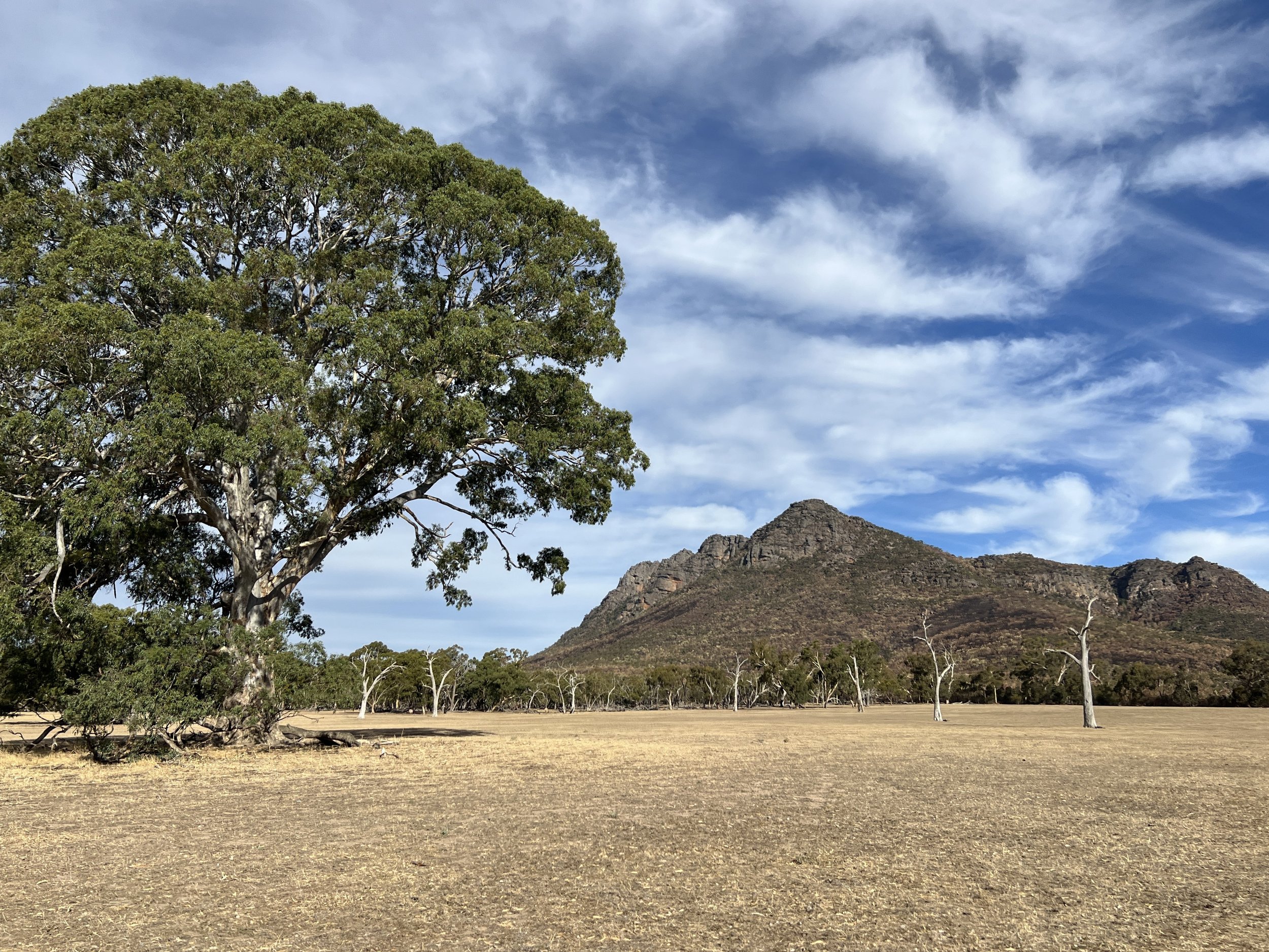 Gariwerd (The Grampians)