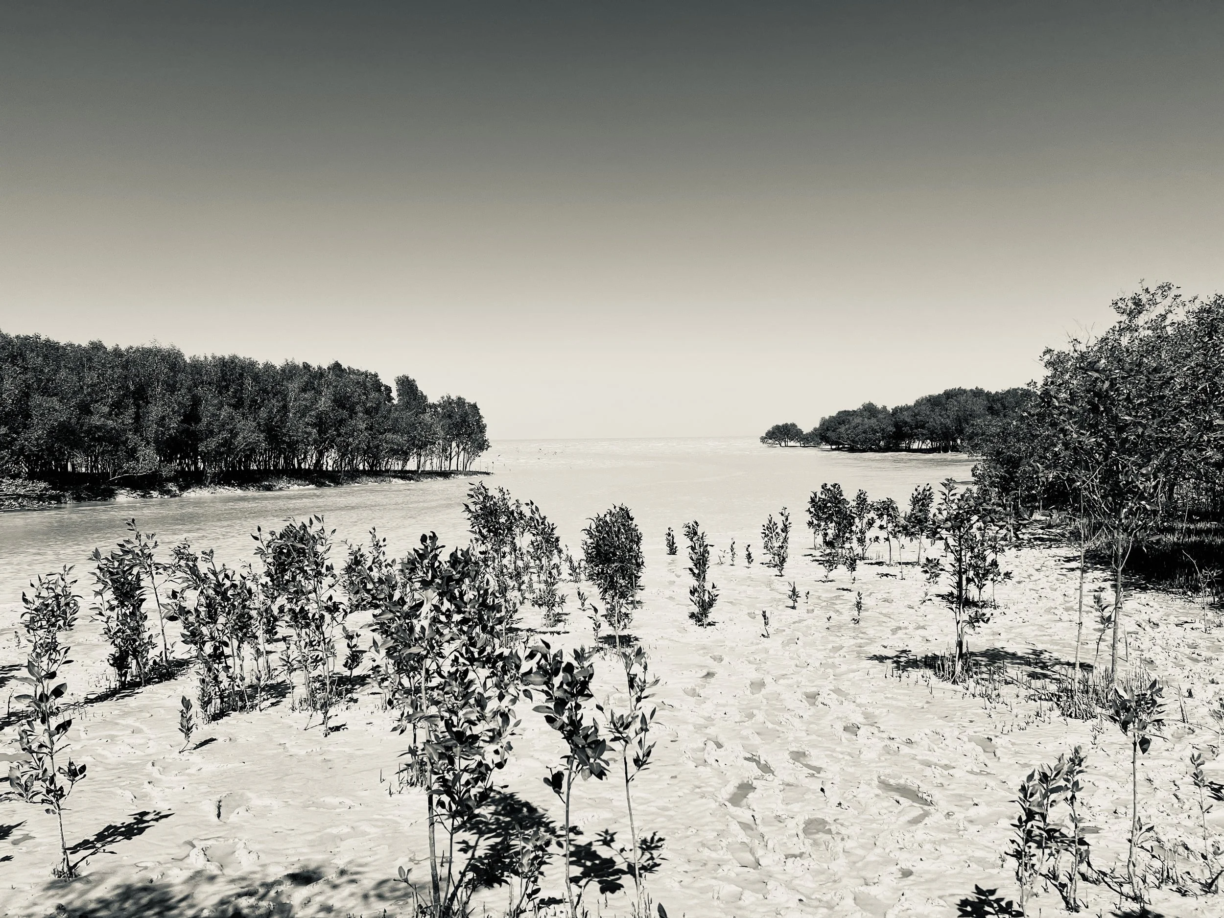 Crab Creek, Roebuck Bay in black & white (horizontal)