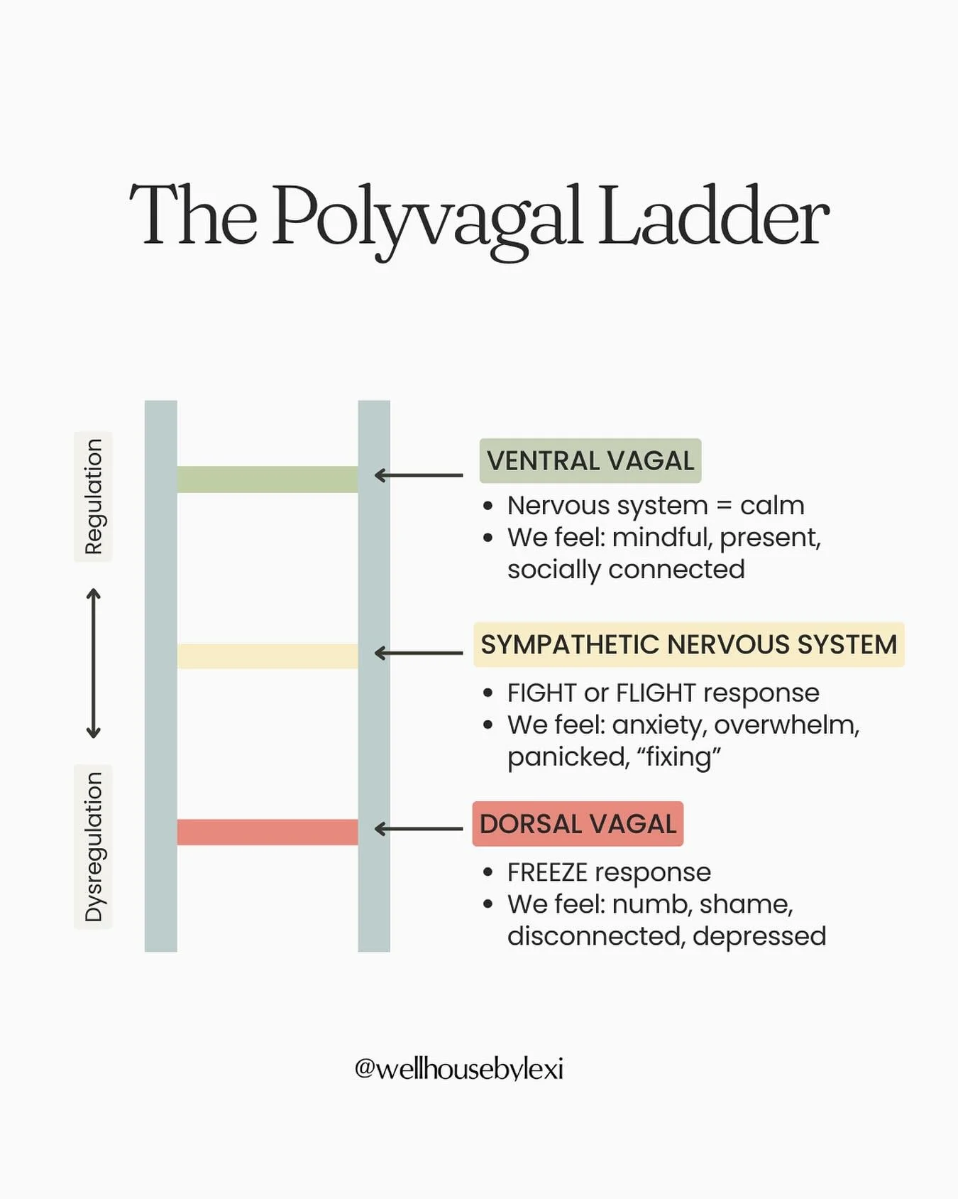 The Polyvagal Ladder is a roadmap of our nervous system. It shows how we shift between three states: calm, anxious, and disconnected&mdash;each one the body&rsquo;s way of coping and protecting us.

By understanding the ladder, we can recognize where