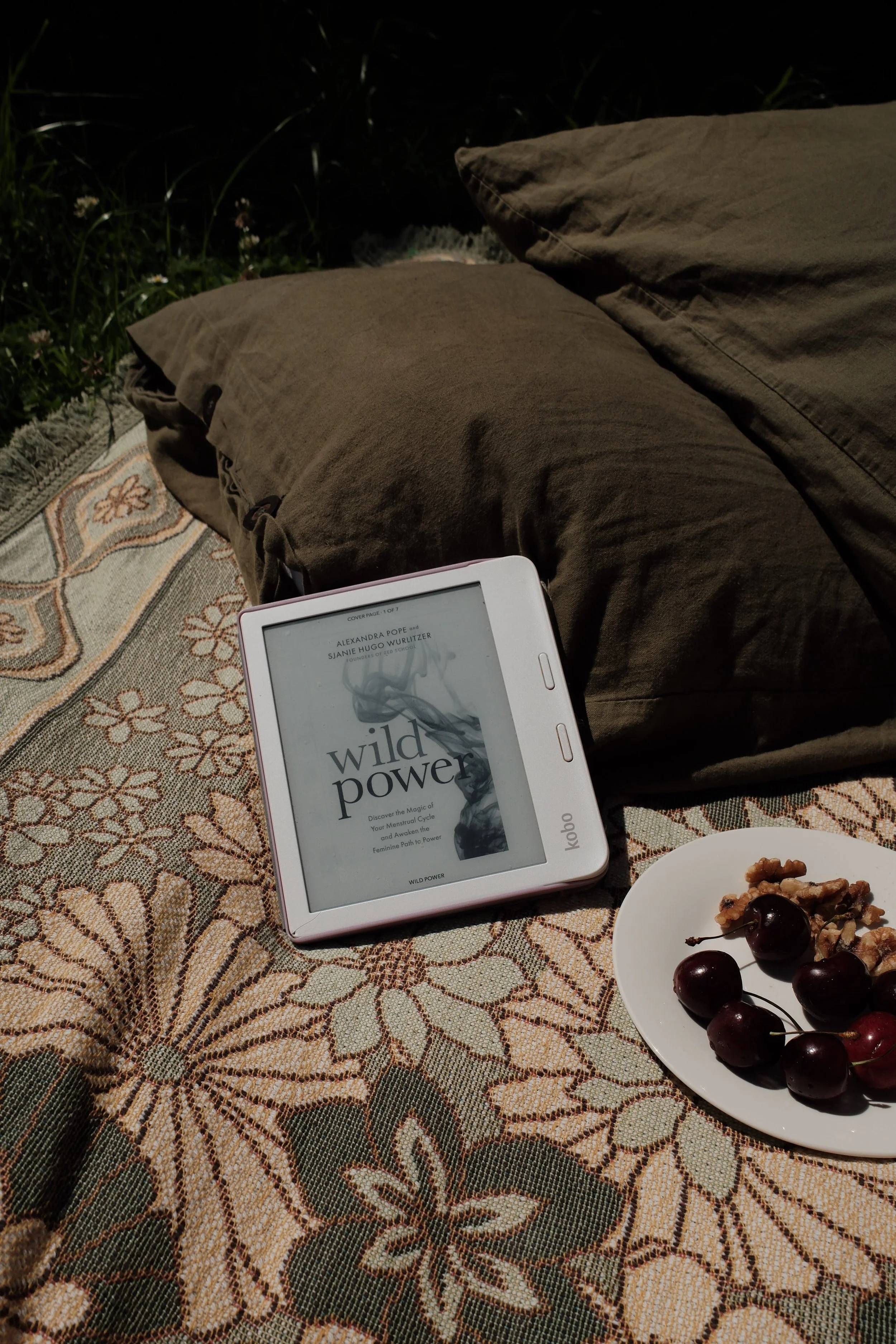 Person sitting outdoors on a blanket in the evening, reading an e-book titled 'Wild Power' on a Kindle device, with a plate of cherries and some nuts nearby, and grass and flowers in the background.