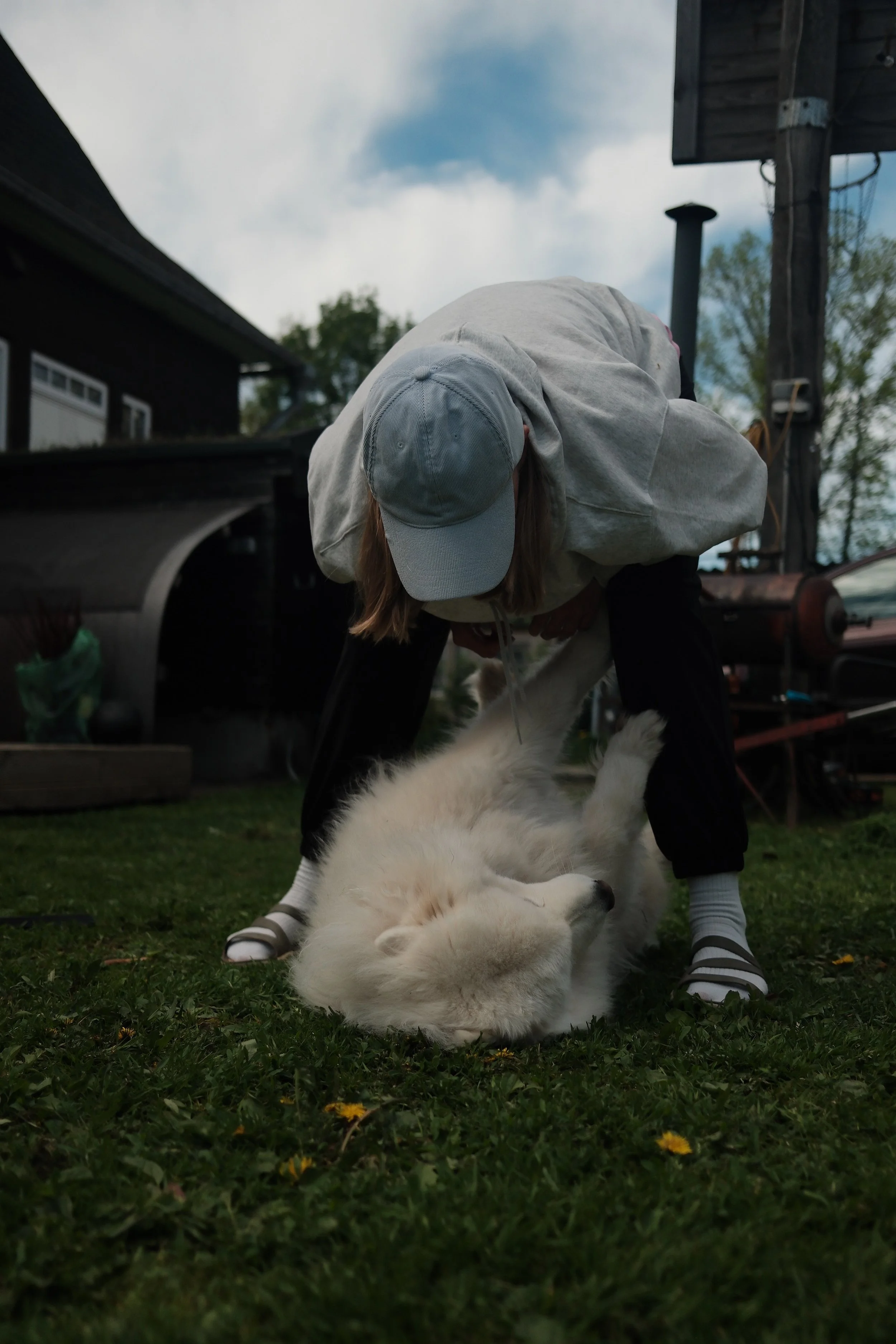 Person bending over to play with a fallen puppy on grass, with a cloudy sky, wooden house, and outdoor structures in the background.