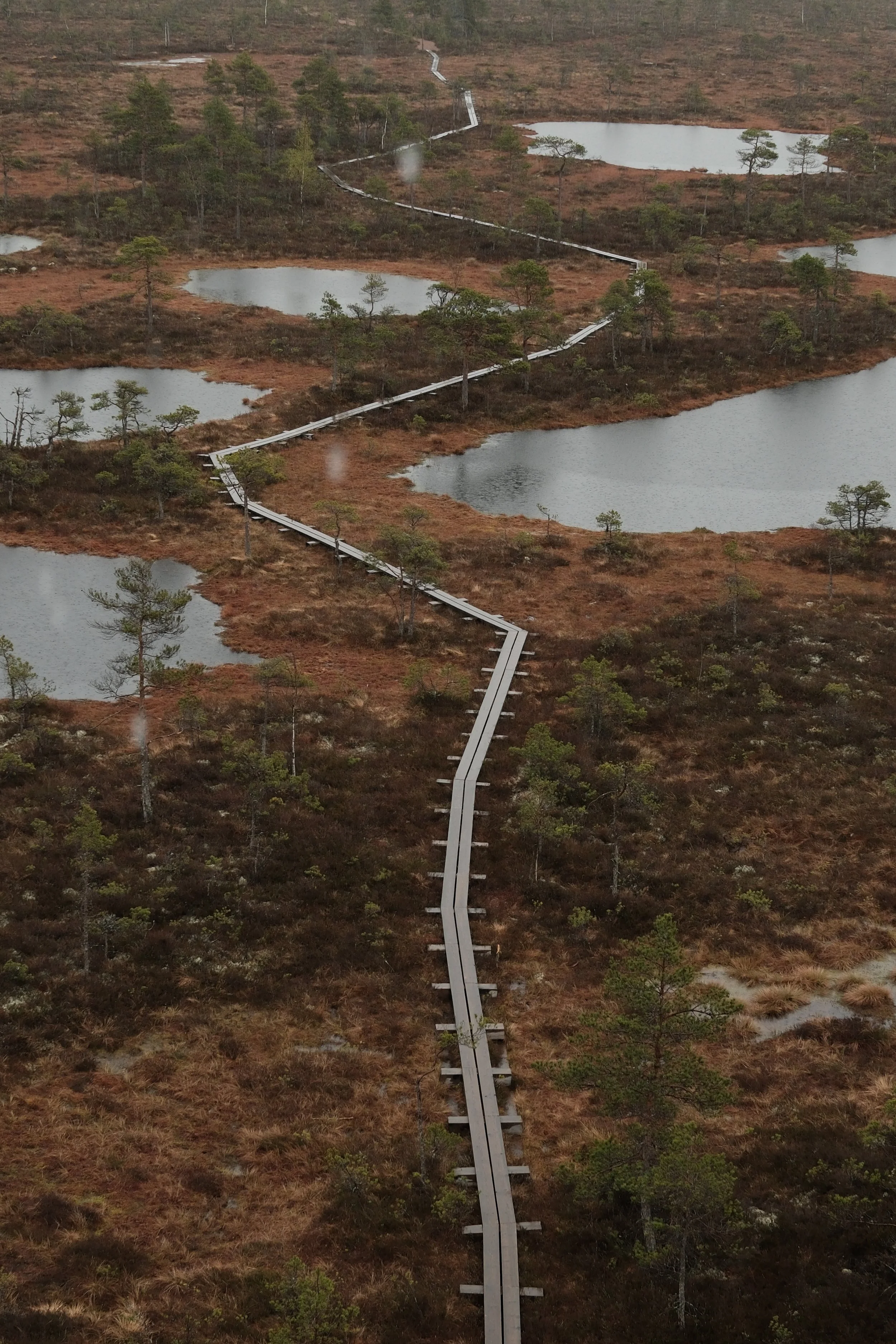 A long, narrow, zigzagging walkway or bridge crossing over wetlands and small lakes in a natural landscape with scattered trees and brownish vegetation.