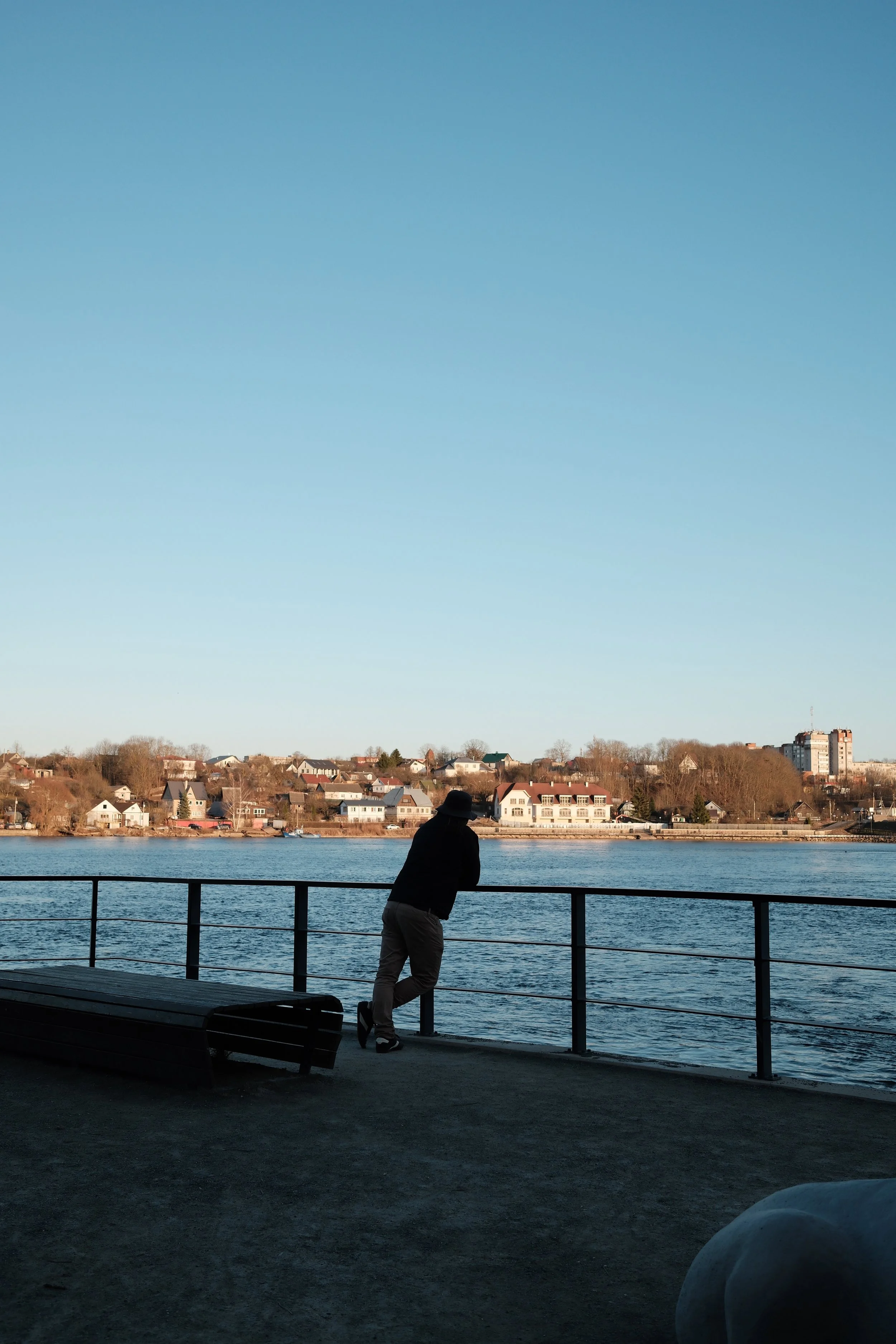Person leaning on railing by a body of water with a village and trees on the opposite side and a clear blue sky.